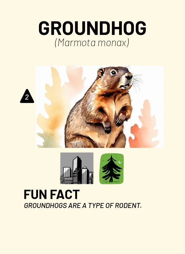 CreatureCards-32.jpg