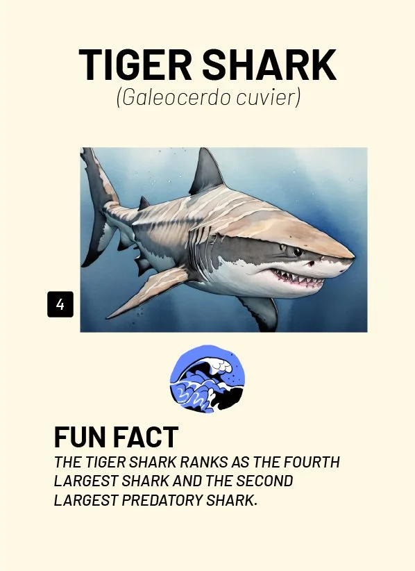 CreatureCards-57.jpg