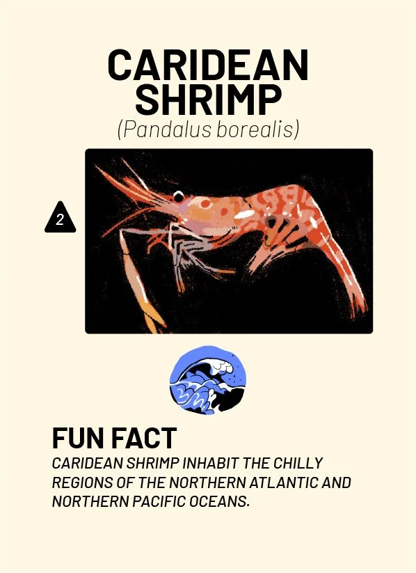 CreatureCards-65.jpg