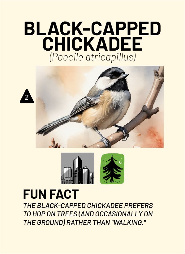 CreatureCards-53.jpg