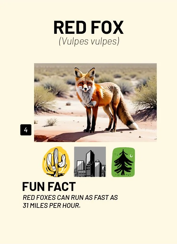 CreatureCards-19.jpg