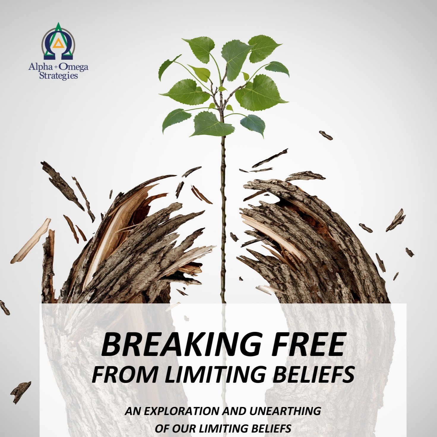 Limiting Beliefs Workbook