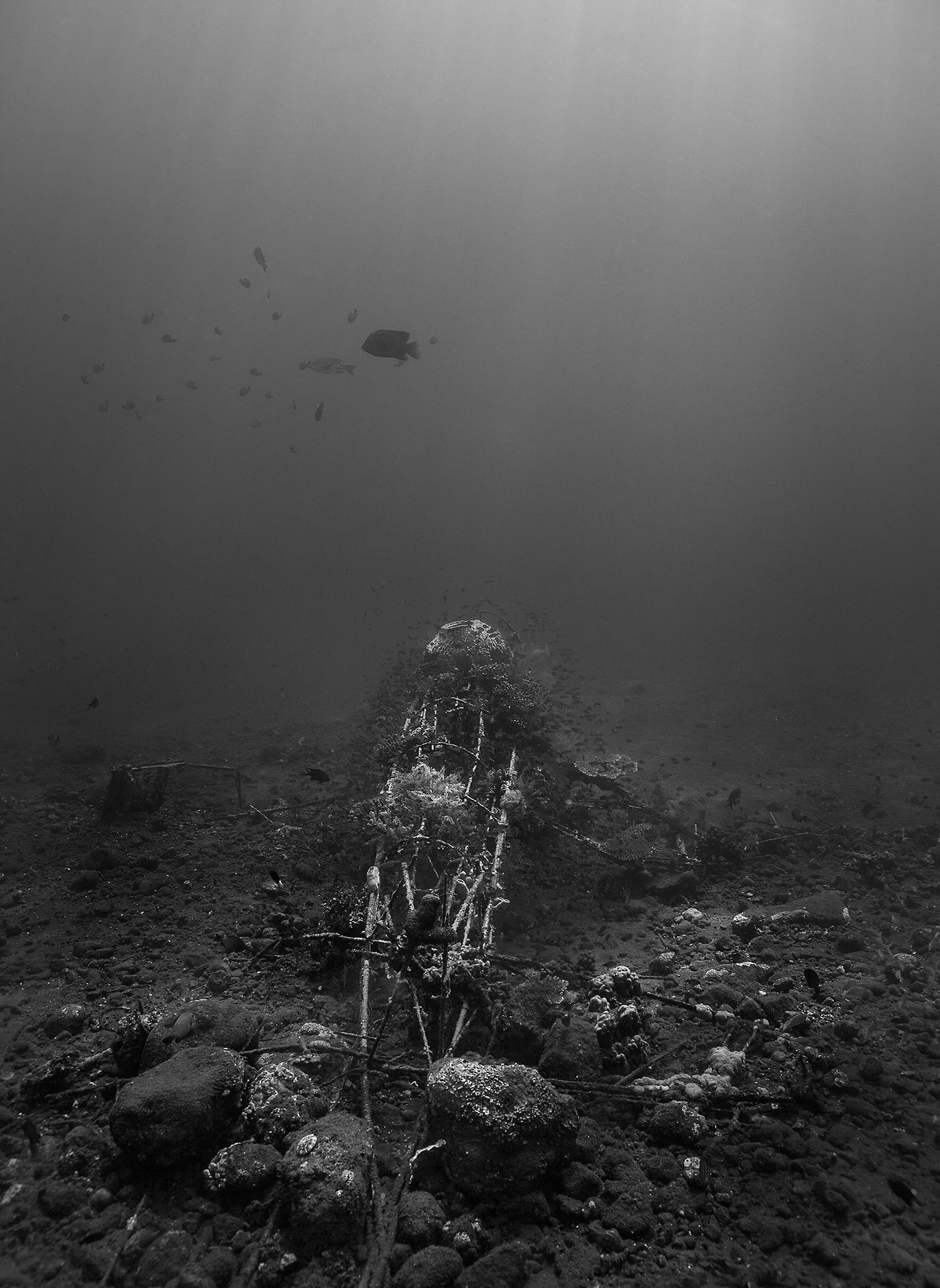  Twin Prop Wreck 1, 2013 Bali, Indonesia 