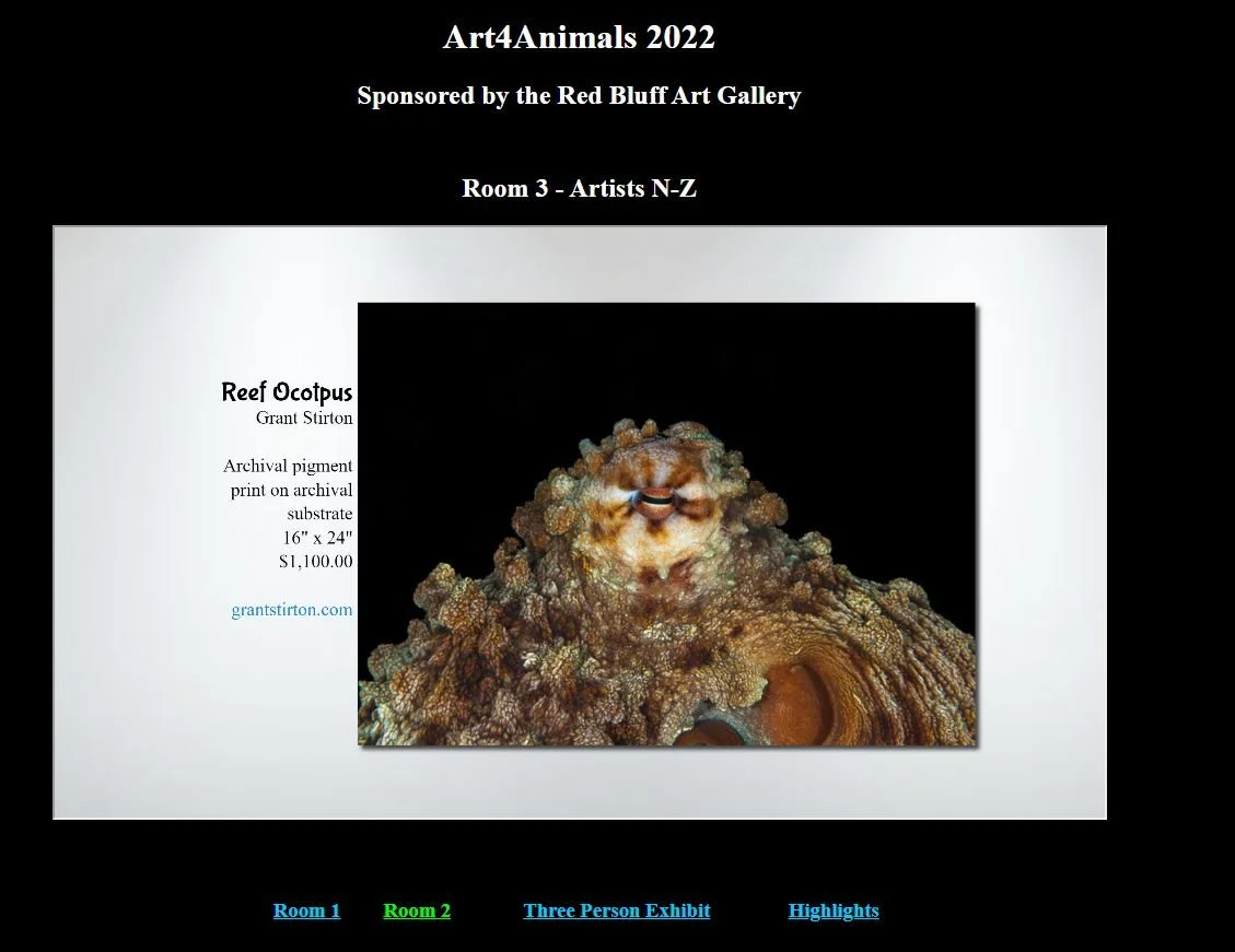 Online Exhibition - Red Bluff Art Gallery