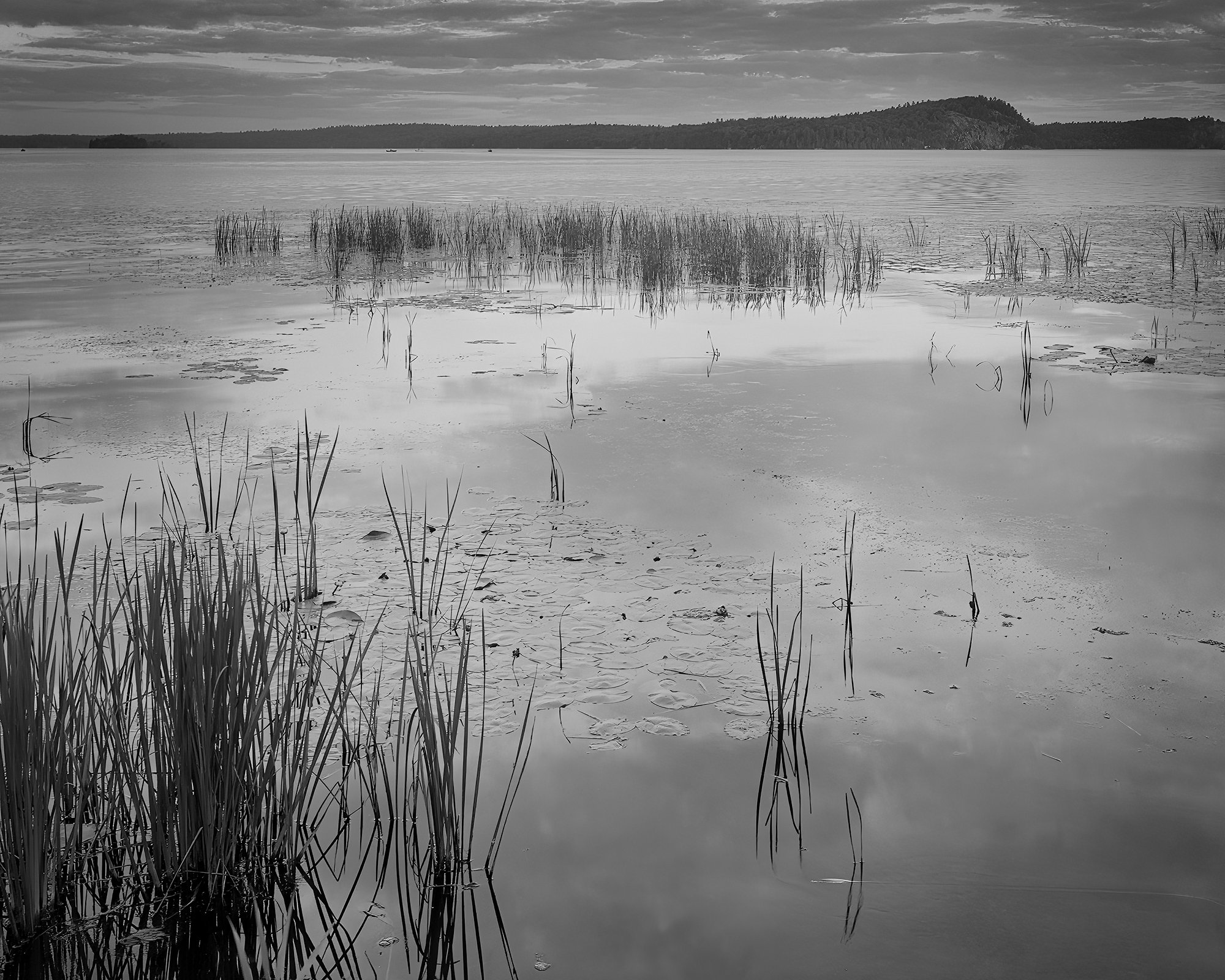  Reed Grass Flat, 2022 Foymount, ON, CA 