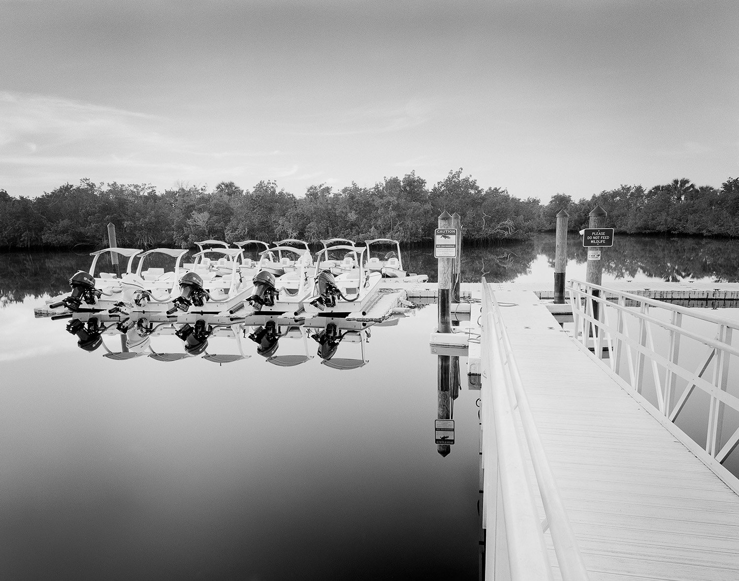 Grant_Stiton-Florida_P1_045 - 1500px.jpg