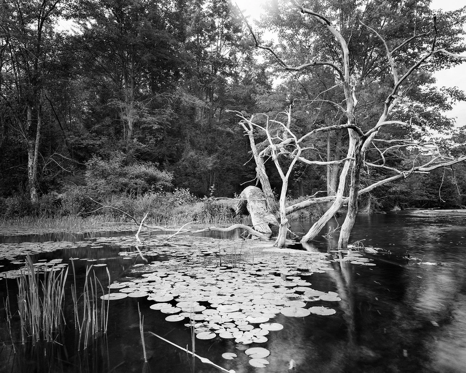 Grant_Stirton_Watershed_P2_04-Edit.jpg