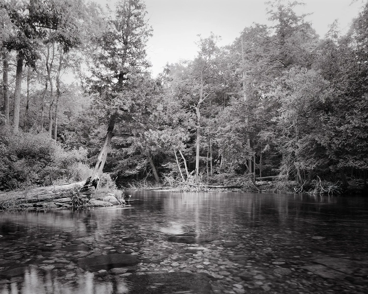 Grant_Stirton_Watershed_P2_05-Edit.jpg