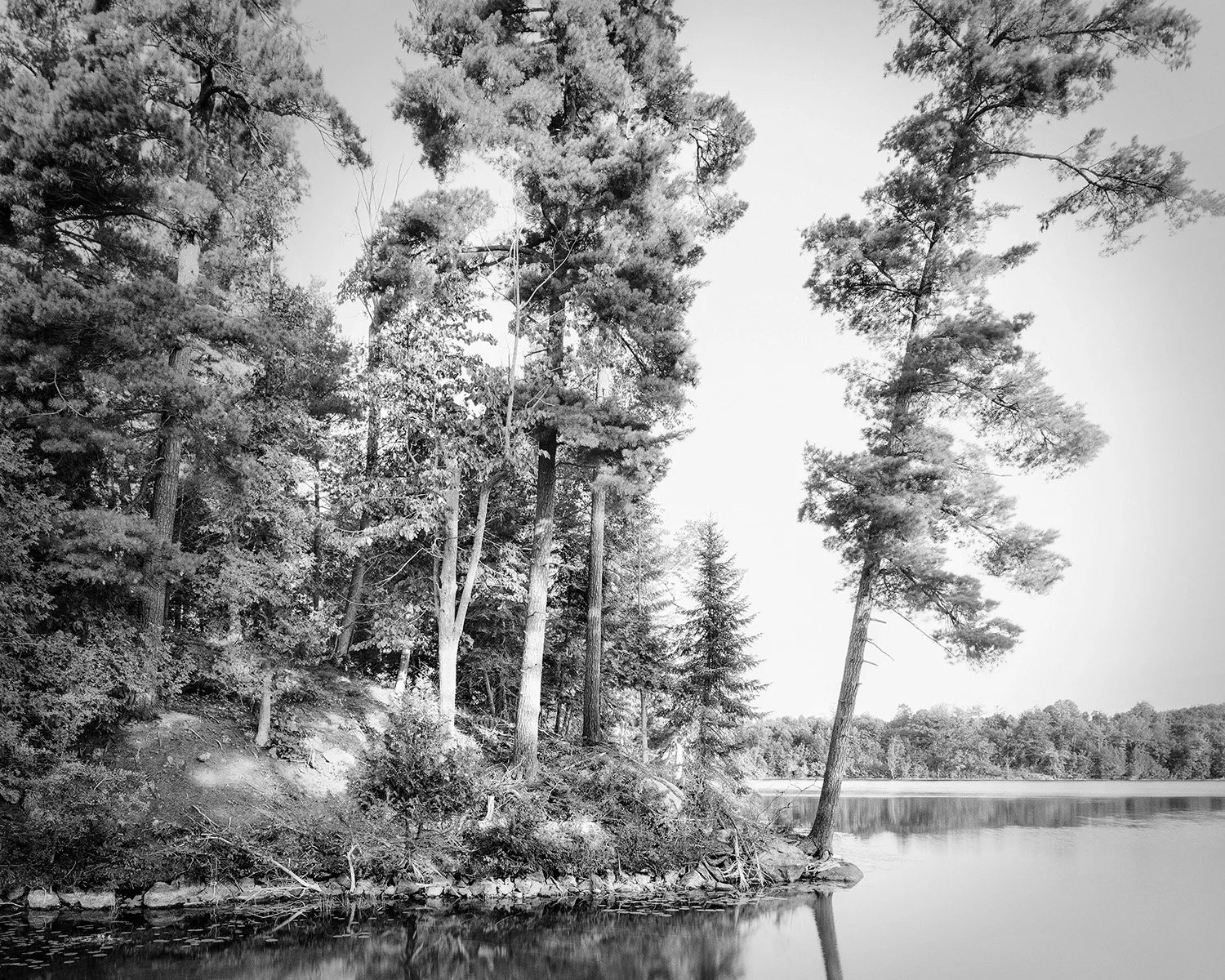 Grant_Stirton_Watershed_P2_07-Edit.jpg