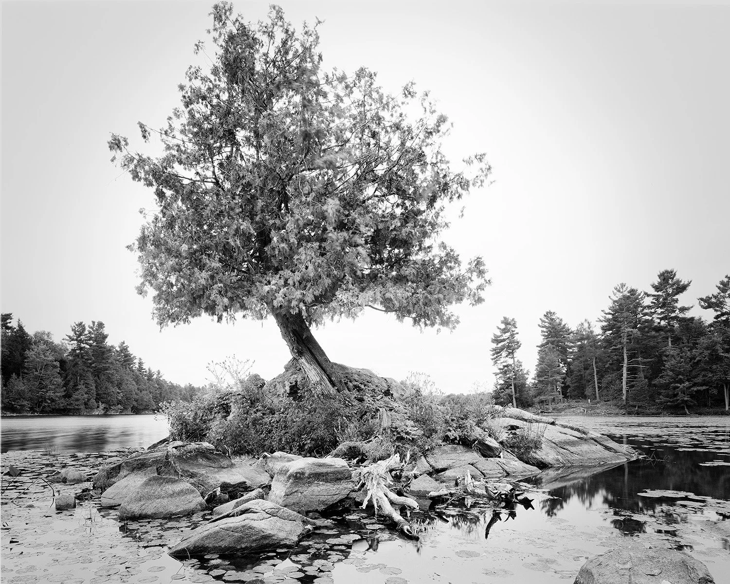 Grant_Stirton_Watershed_P2_11-Edit.jpg