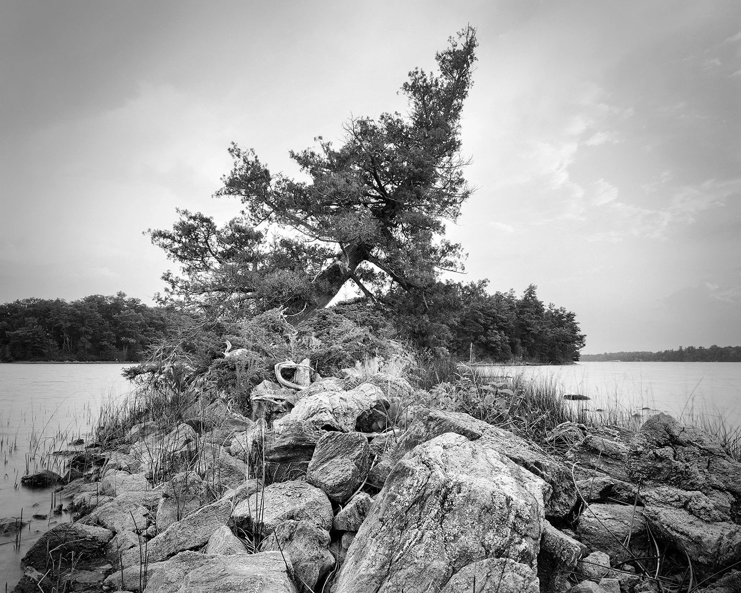 Grant_Stirton_Watershed_P2_12-Edit.jpg