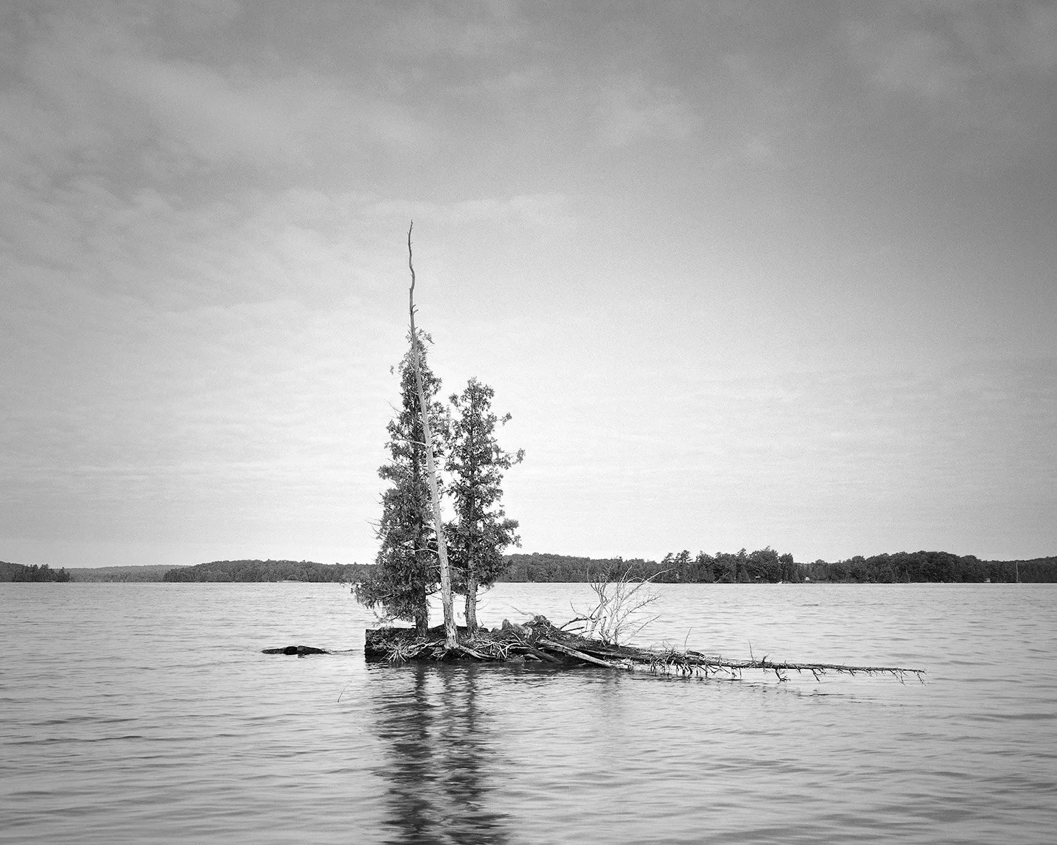 Grant_Stirton_Watershed_P2_15-Edit.jpg
