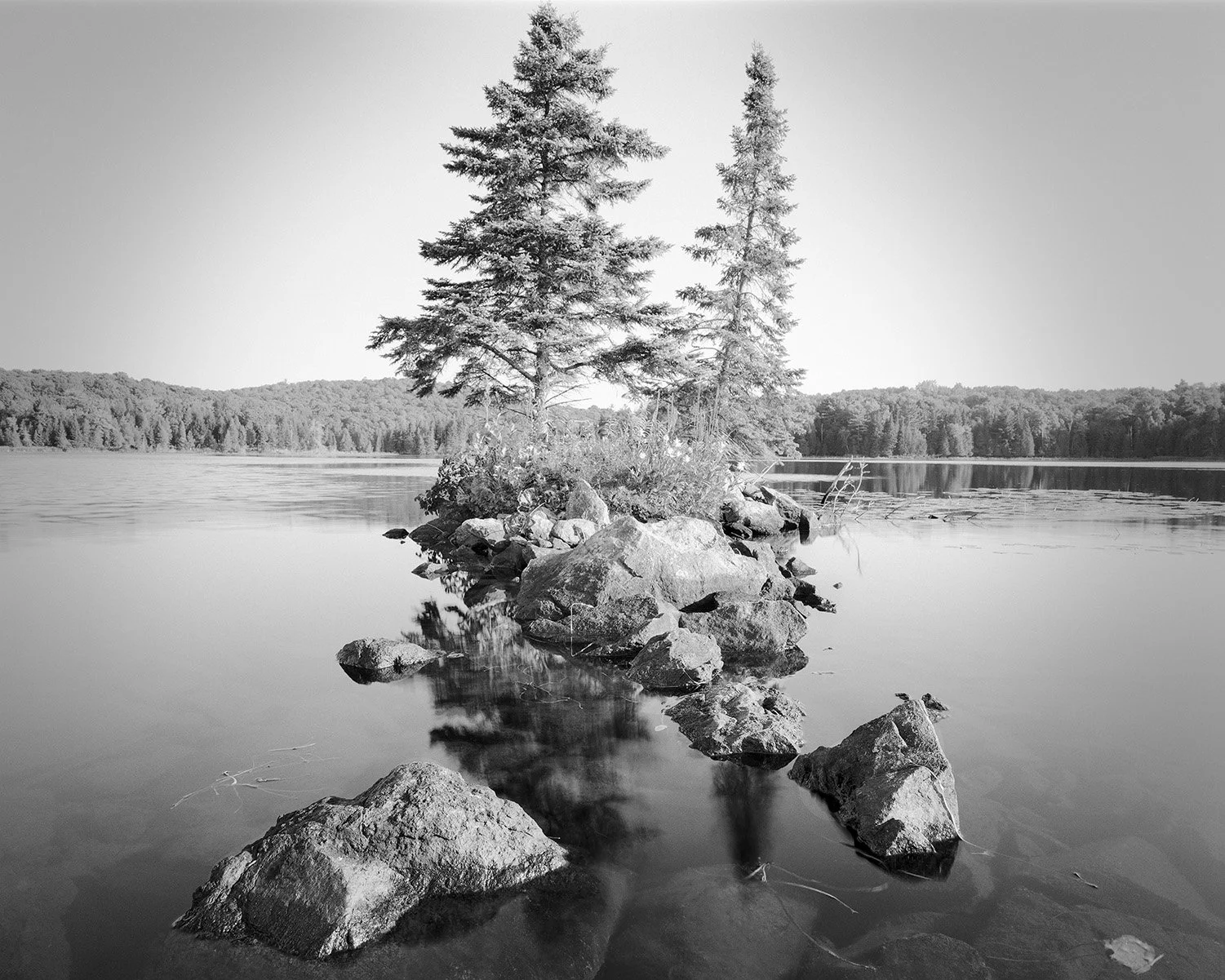 Grant_Stirton_Watershed_P2_22-Edit.jpg