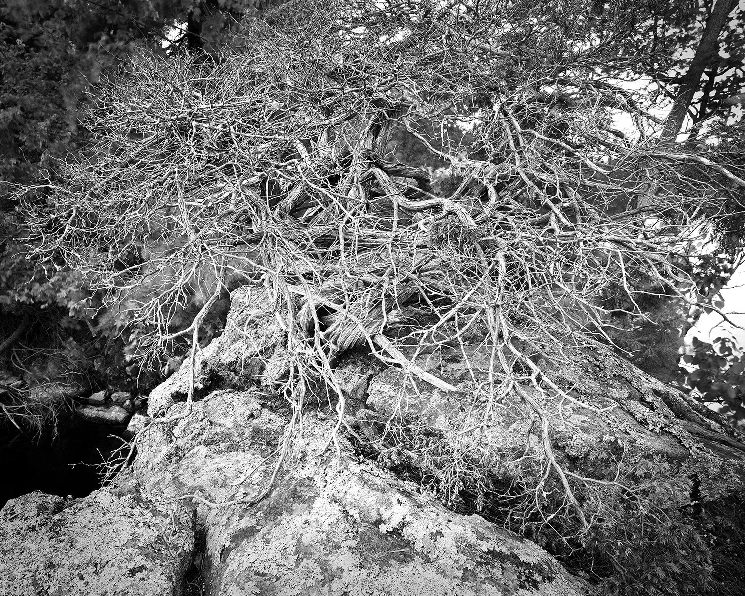 Grant_Stirton_Watershed_P2_21_Edit.jpg