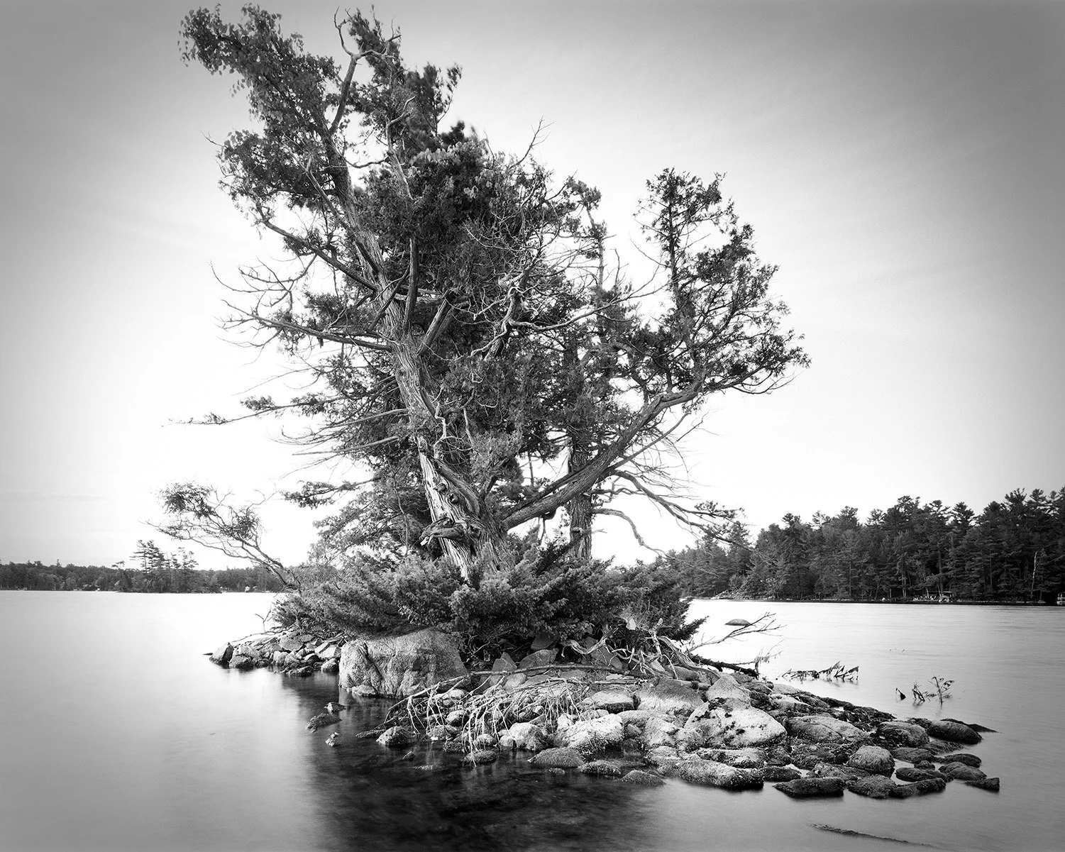 Grant_Stirton_Watershed_P2_23-Edit.jpg