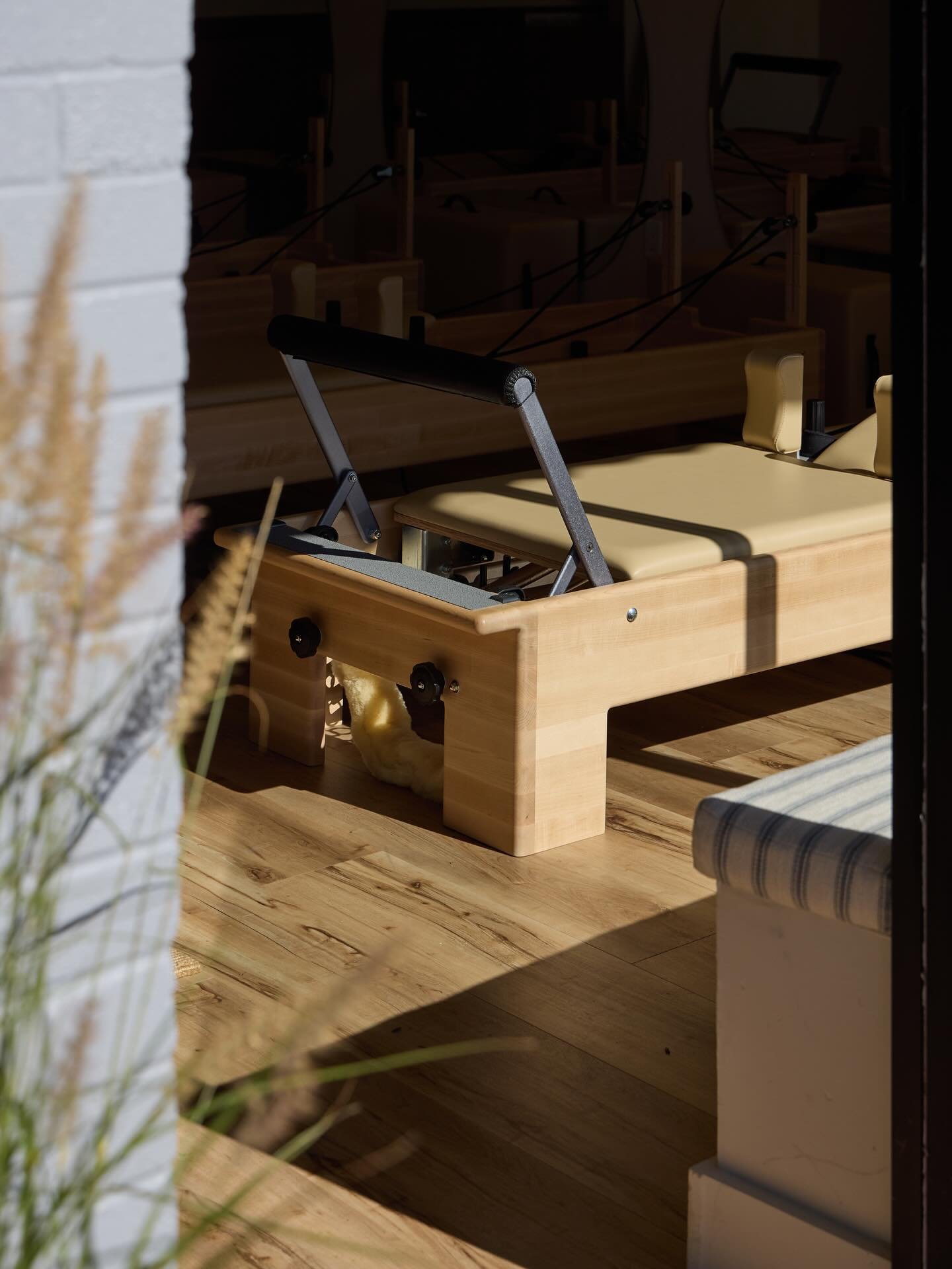 Dreamy light and beautiful design at the new @thesonnypilates in Pleasantville, NY. Another great project by @field.house.design.
