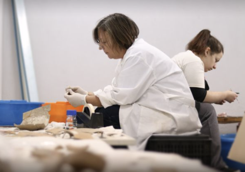 Screenshot 2026-02-11 195728.png