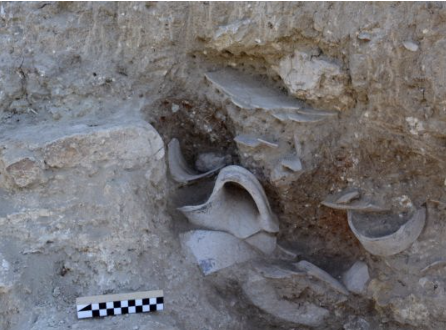 Screenshot 2026-02-11 195529.png