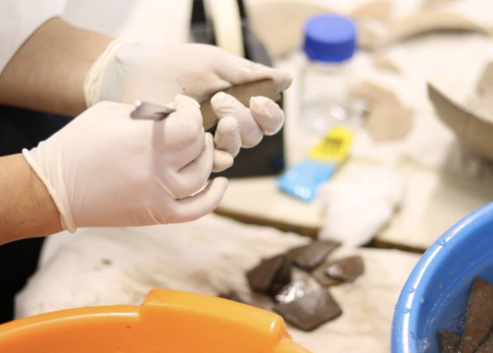 Screenshot 2026-02-11 195703.png