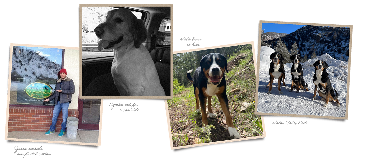 Wanderlust Dogs