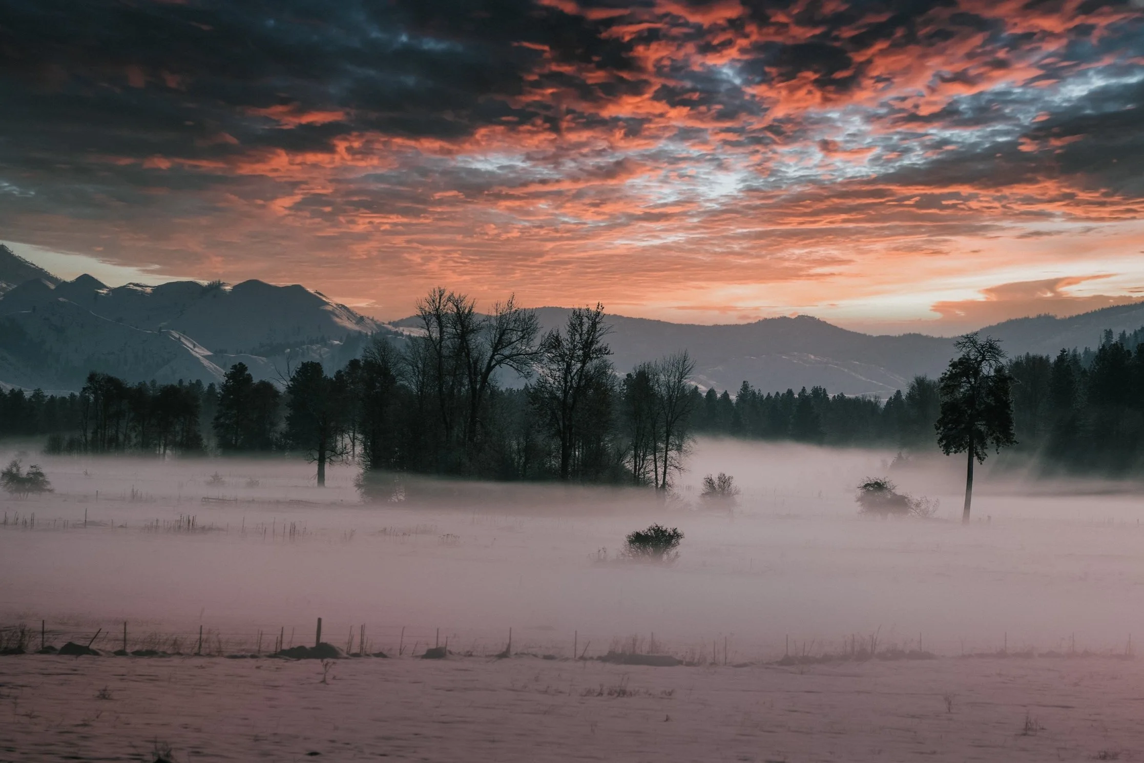 mazama landscape.jpg