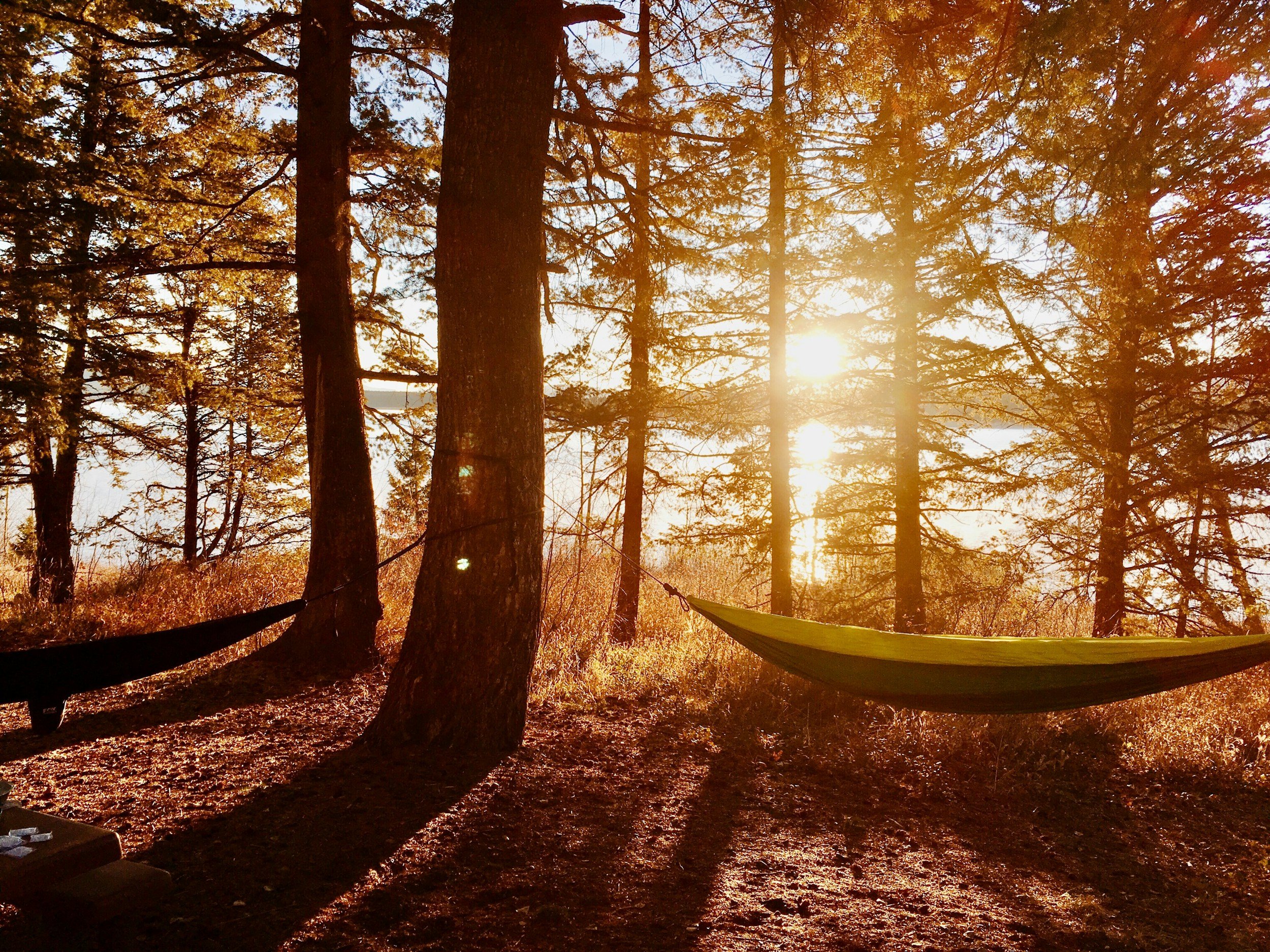 Slowing Down This Summer