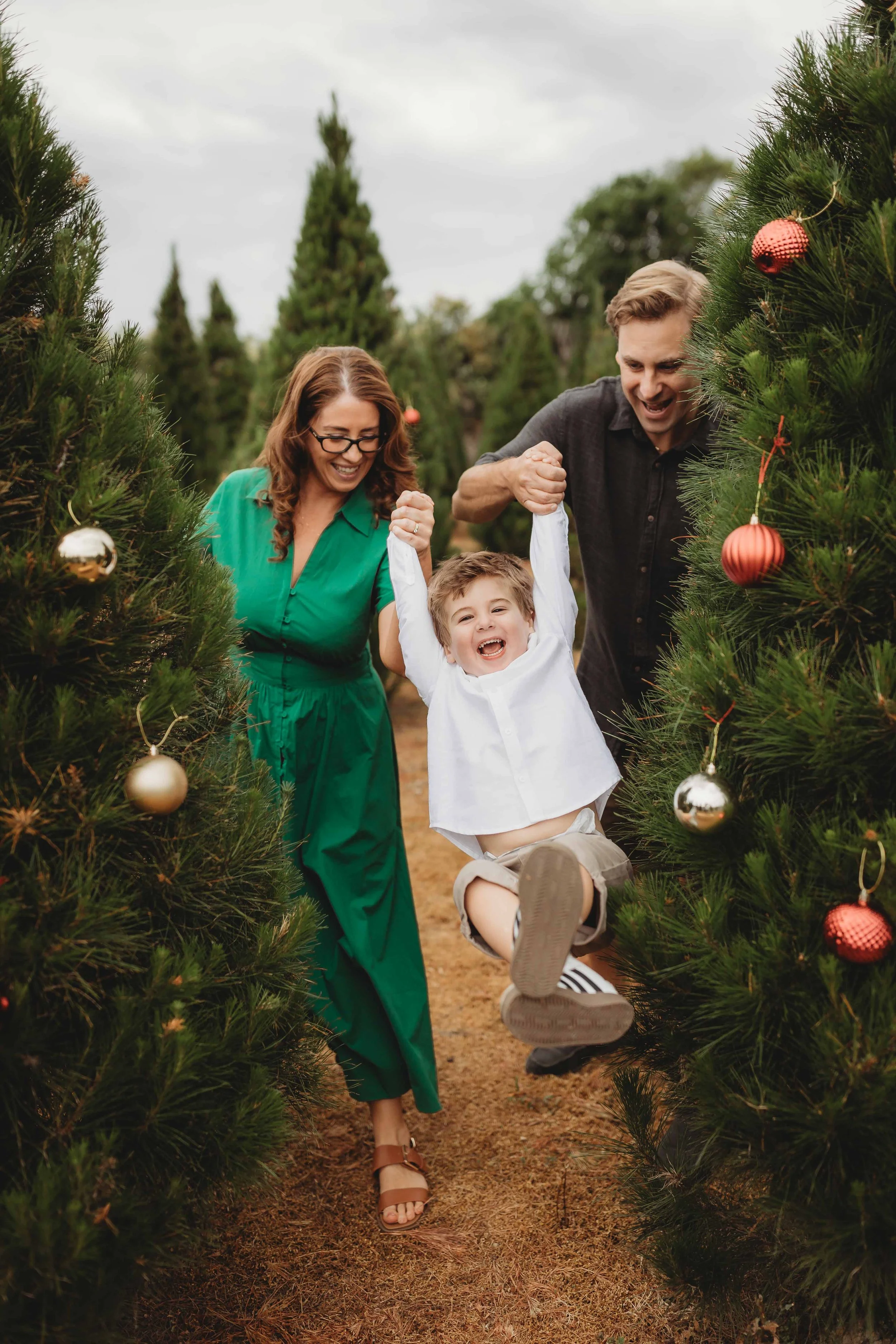 Christmas family photos hills district tree farm