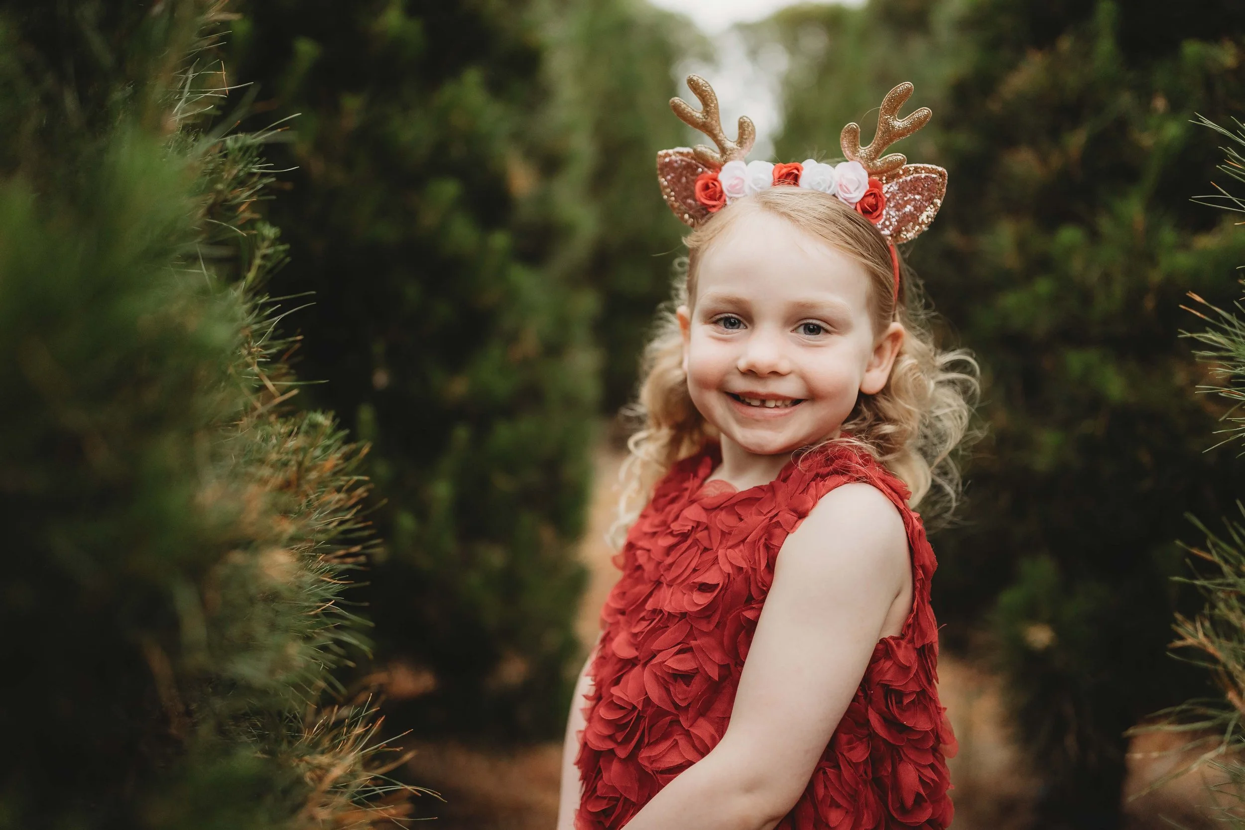 Christmas photos hills district tree farm