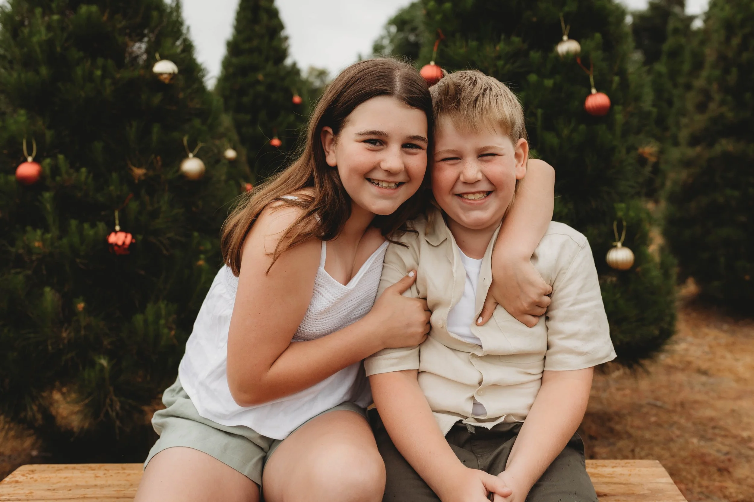 Christmas photos hills district tree farm