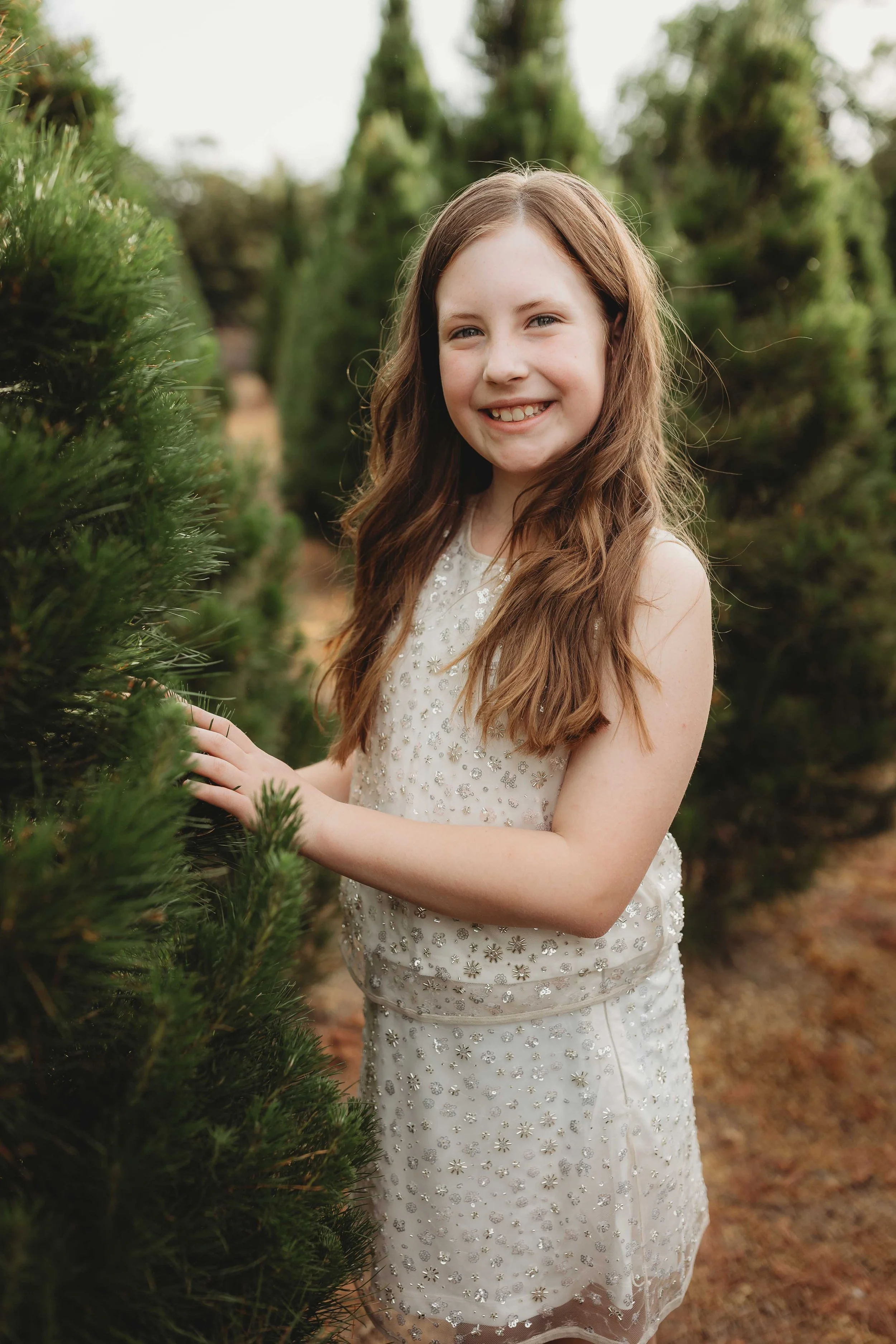 Christmas photos hills district tree farm