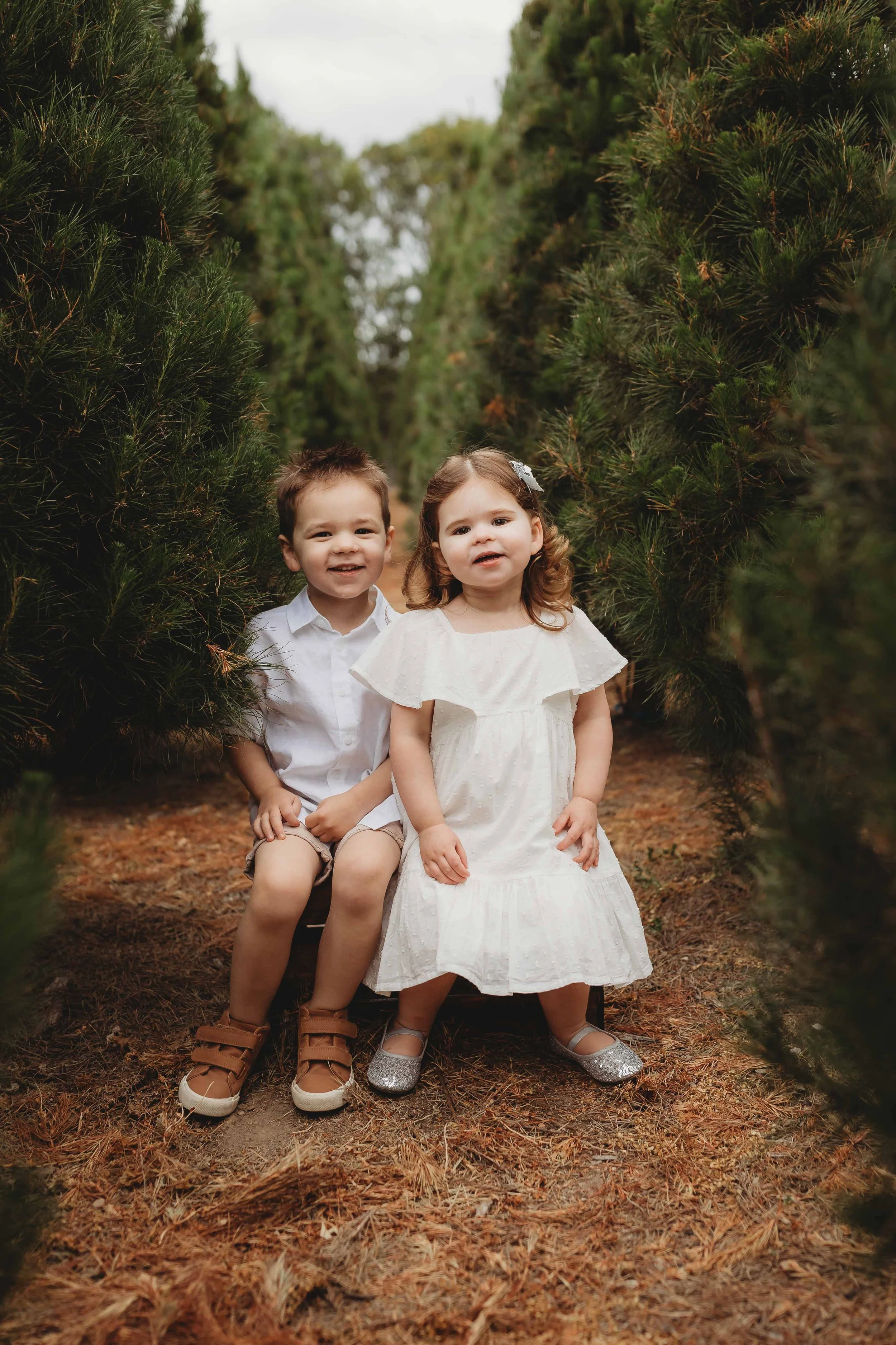Christmas Tree Mini - Full package AFTER your session
