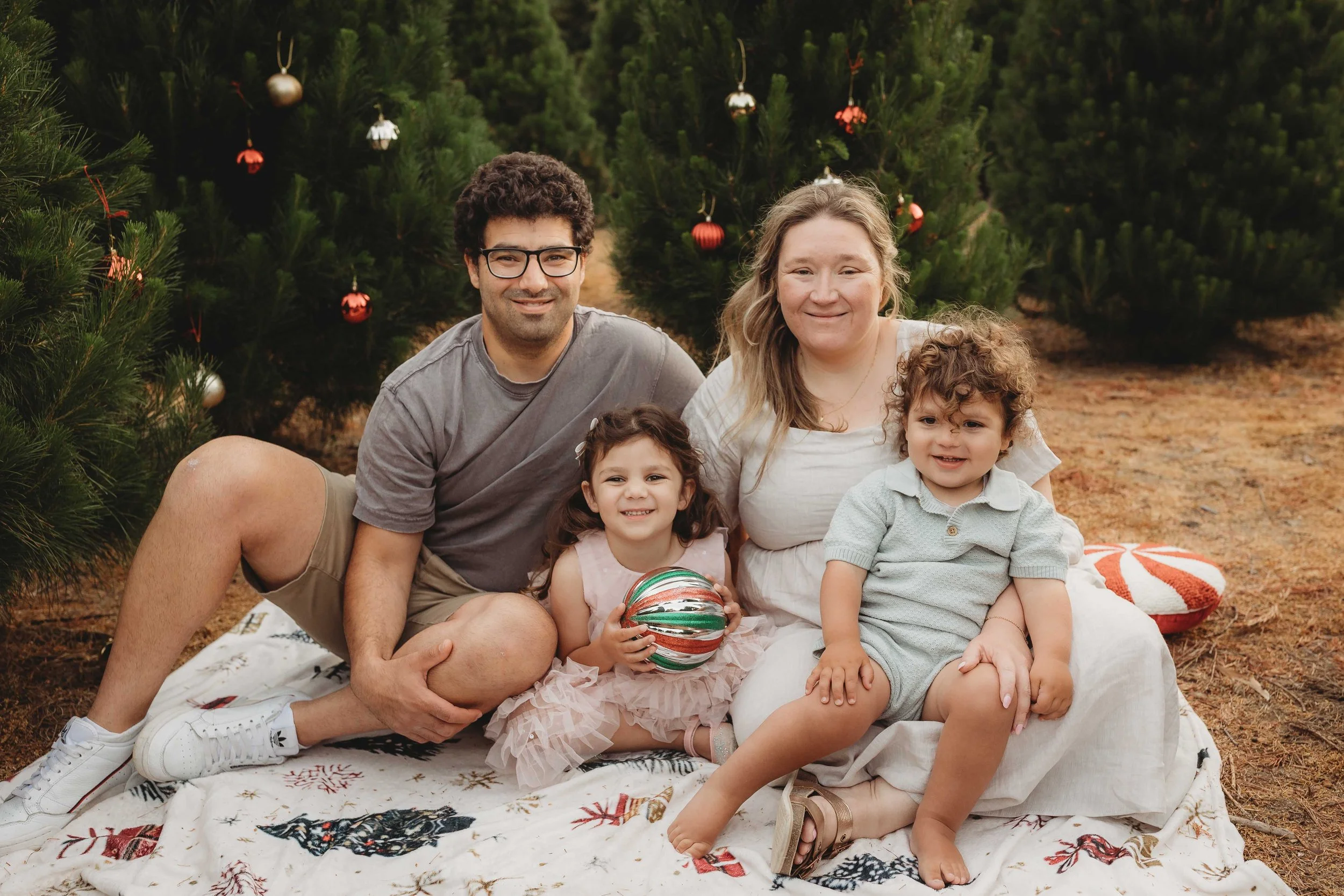 Christmas photos hills district tree farm