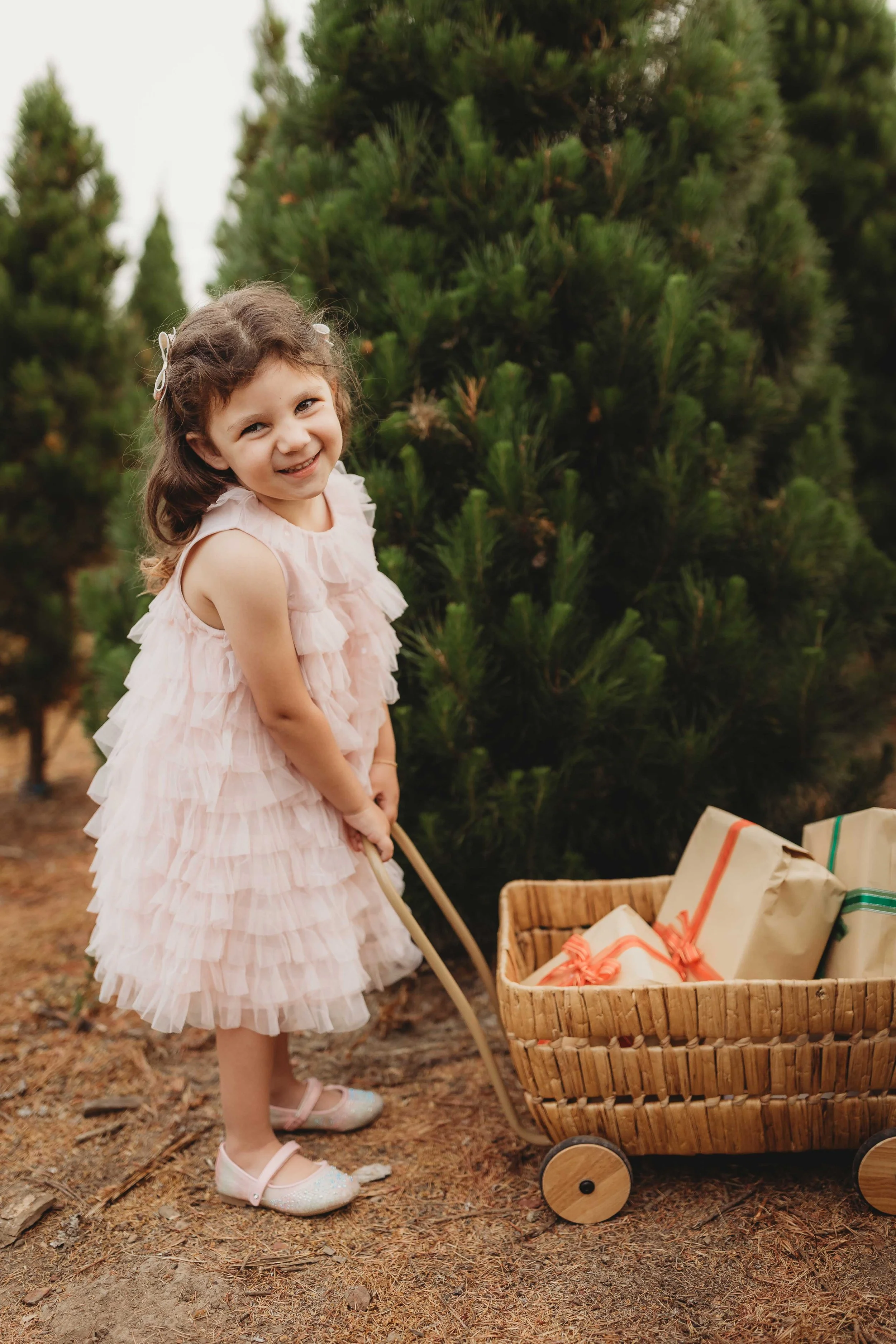 Christmas Tree Farm - Starter