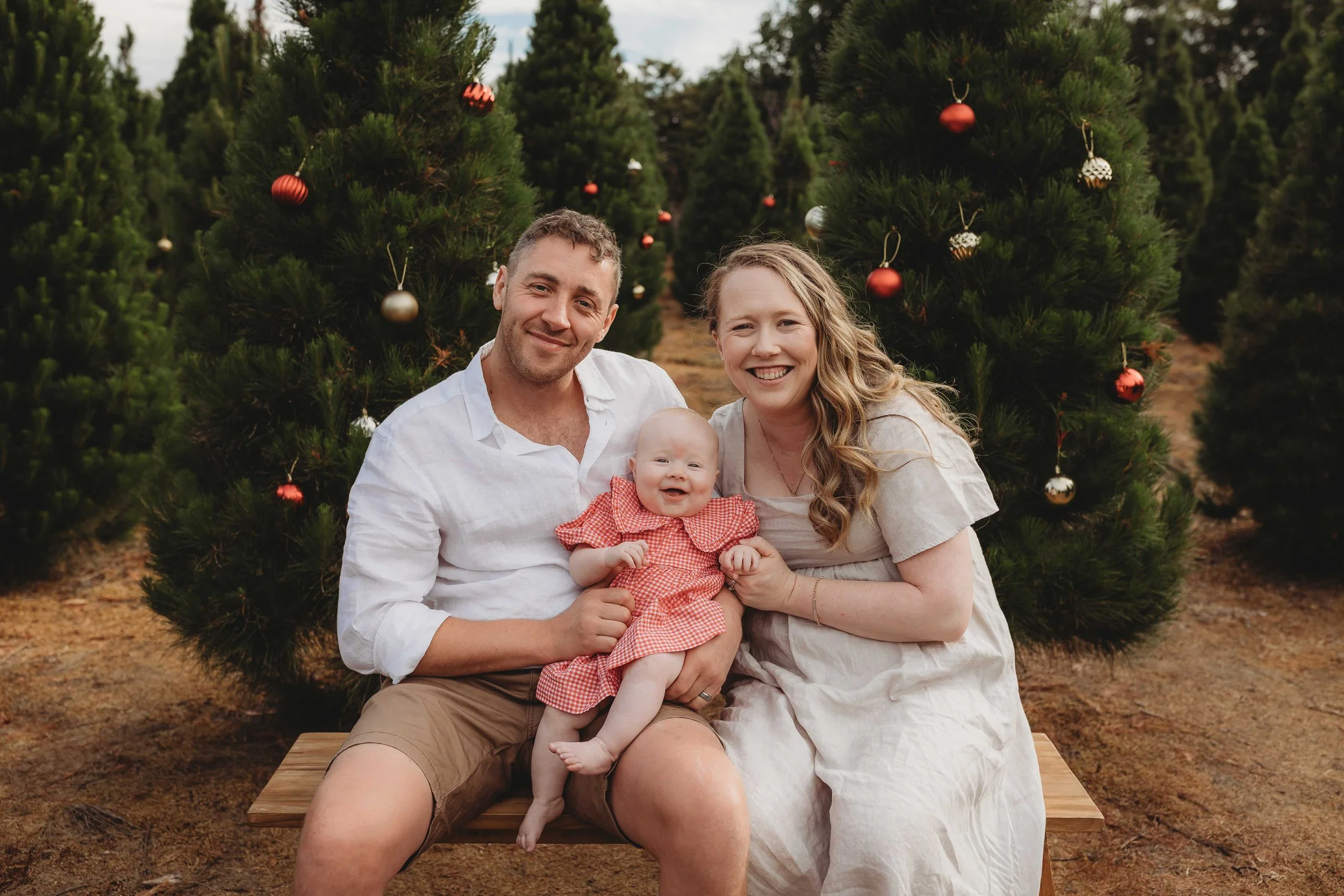 Christmas photos hills district tree farm