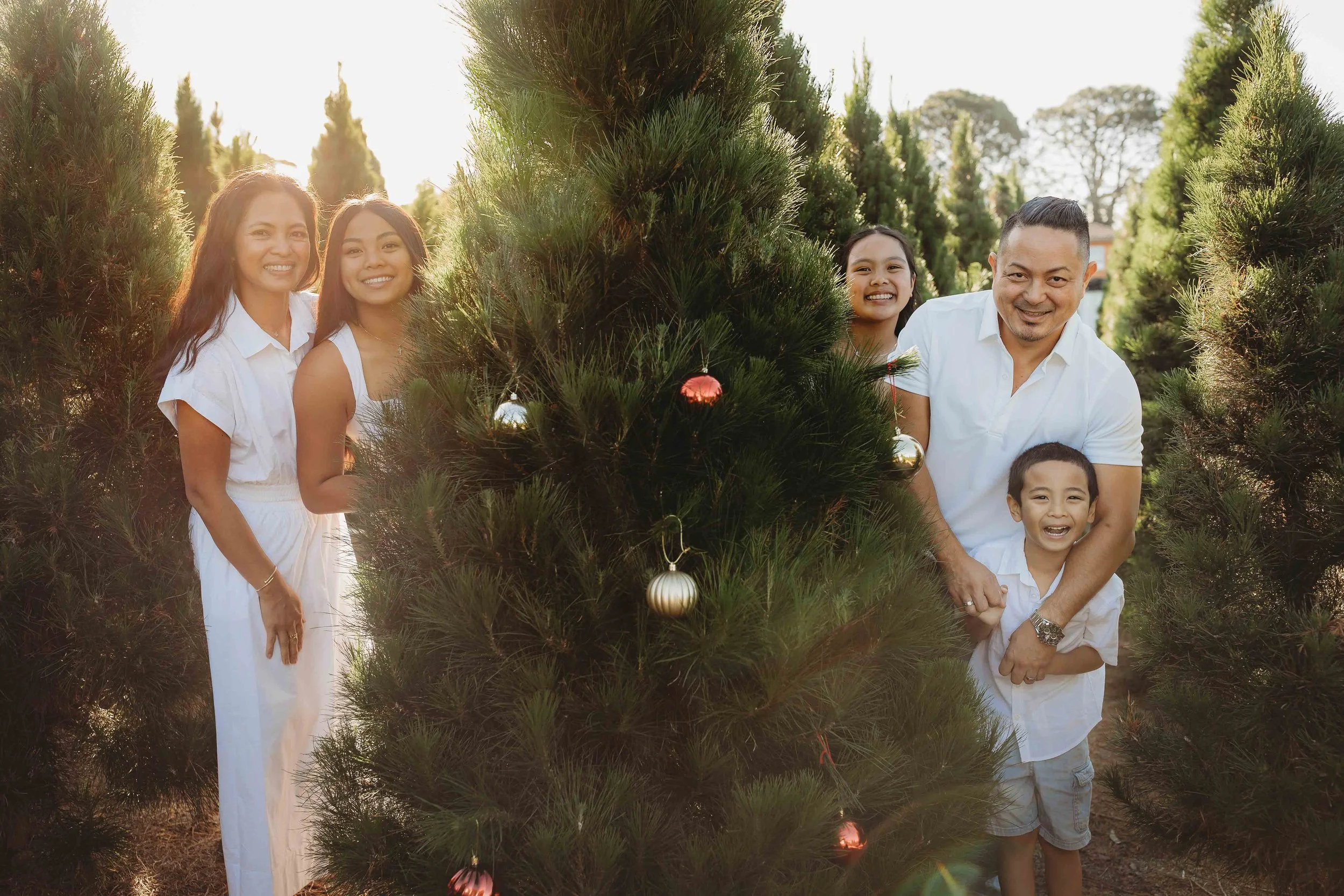 Christmas family photos hills district tree farm