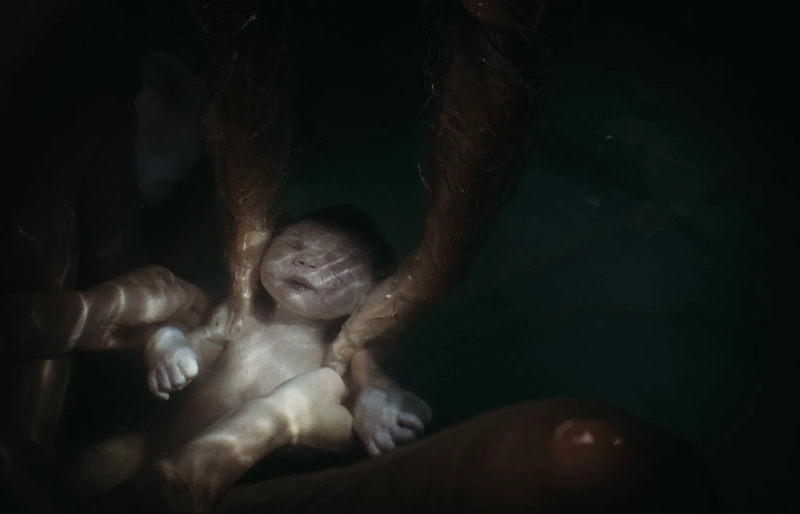 A newborn baby being born in water, with hands supporting the baby.