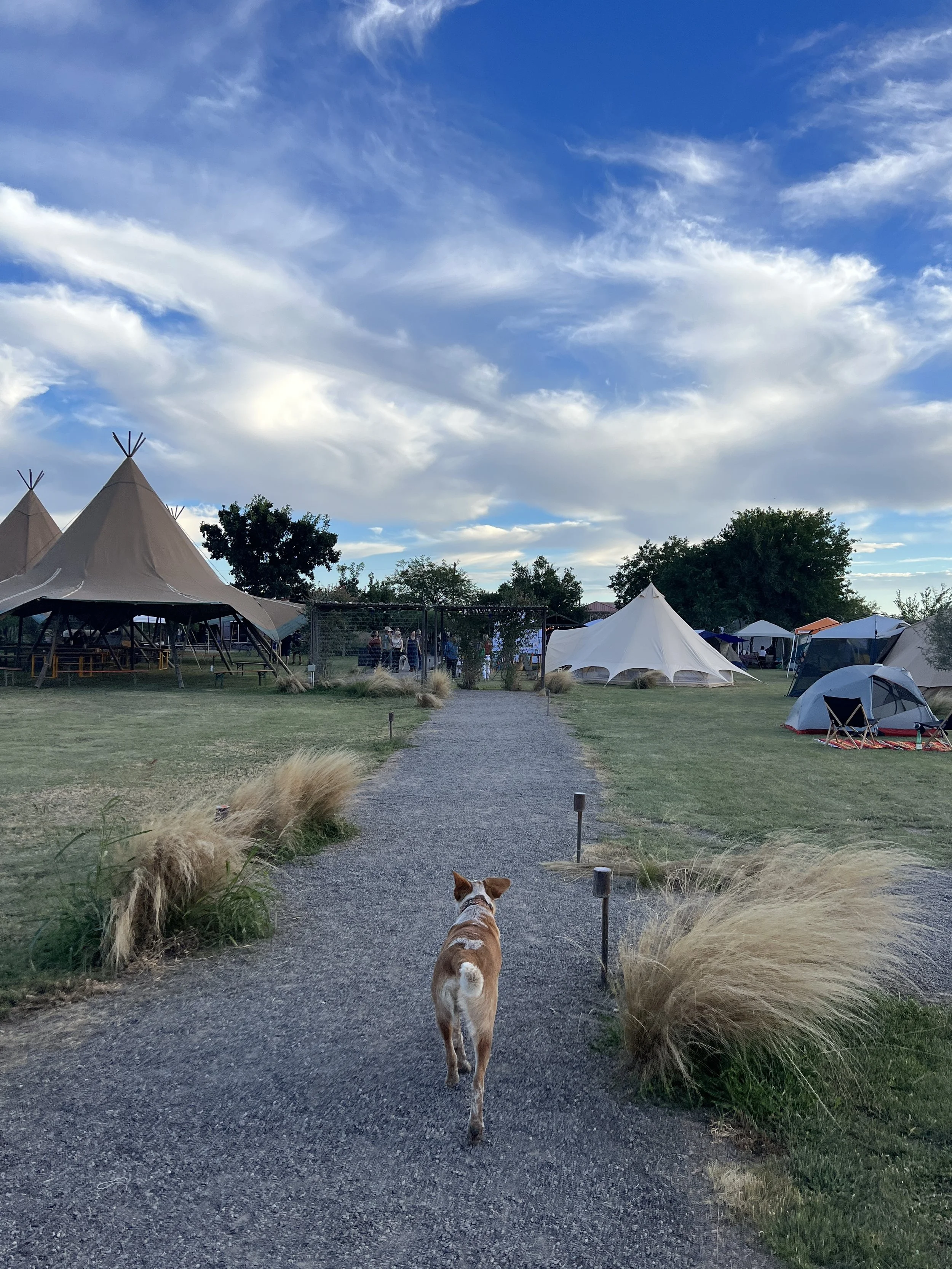 RenderedImage 2.jpeg