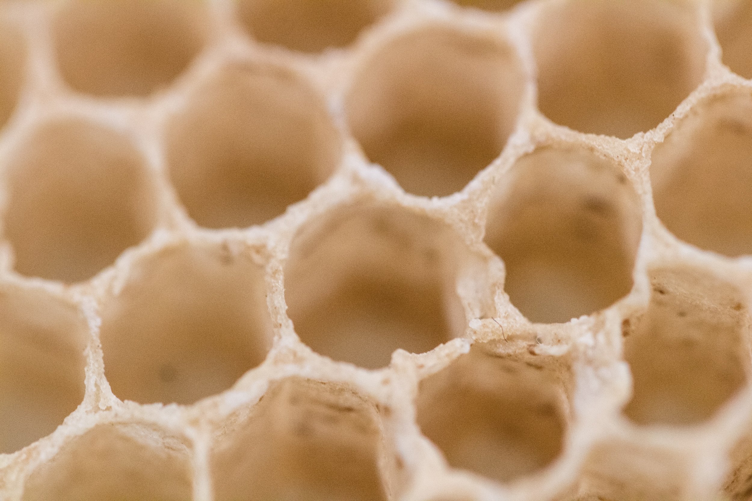 Beehive