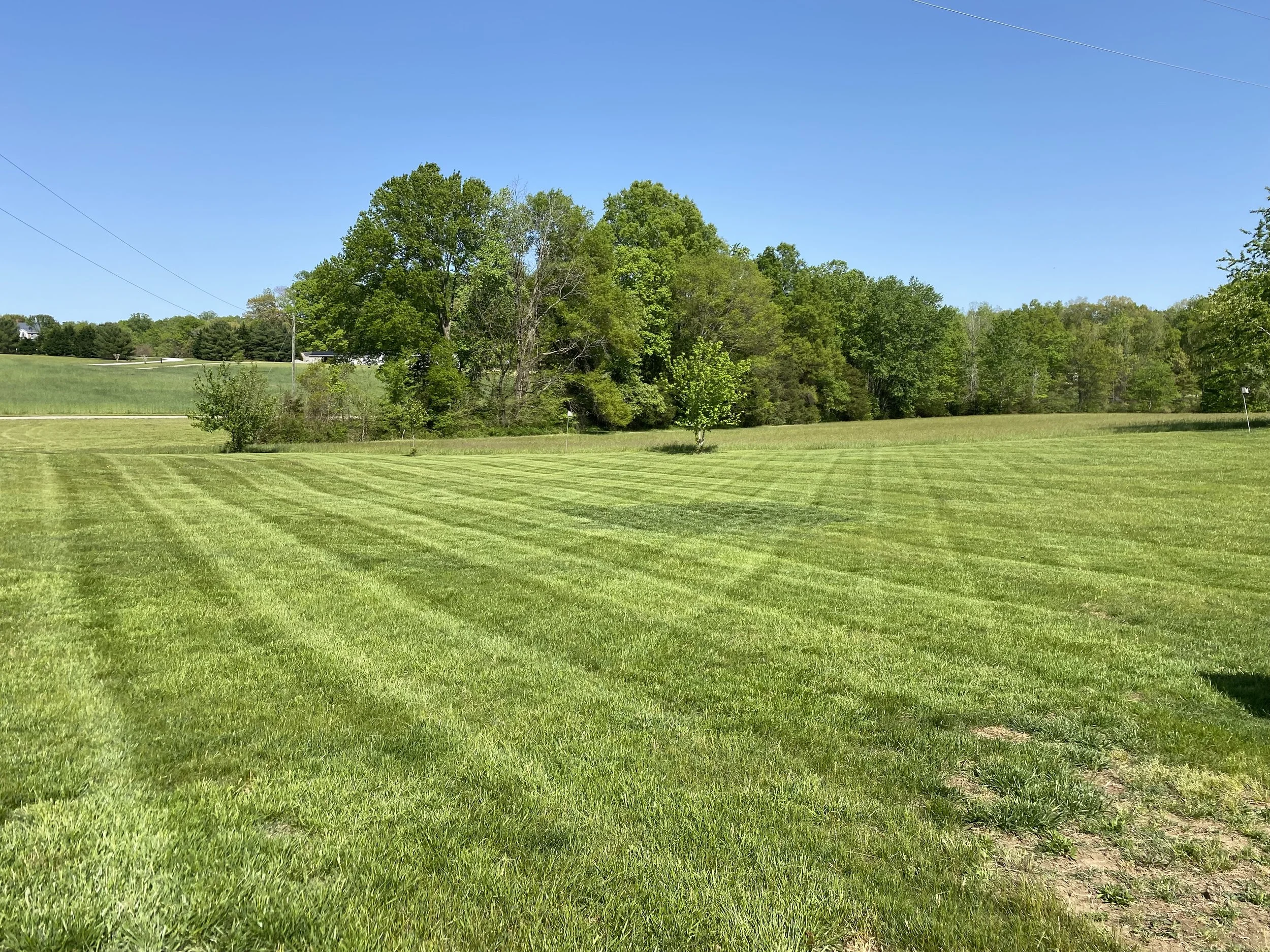 Grass Cutting