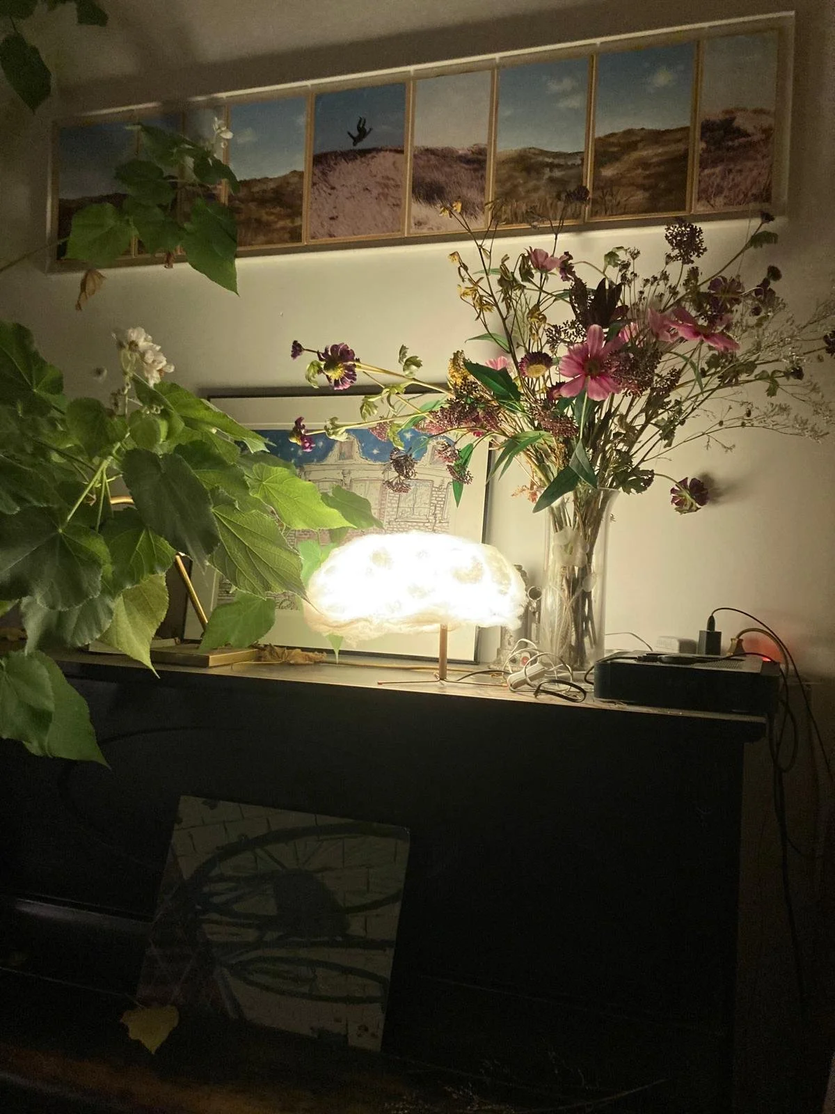 Da Costa lamp vekocht, Hanna.jpeg