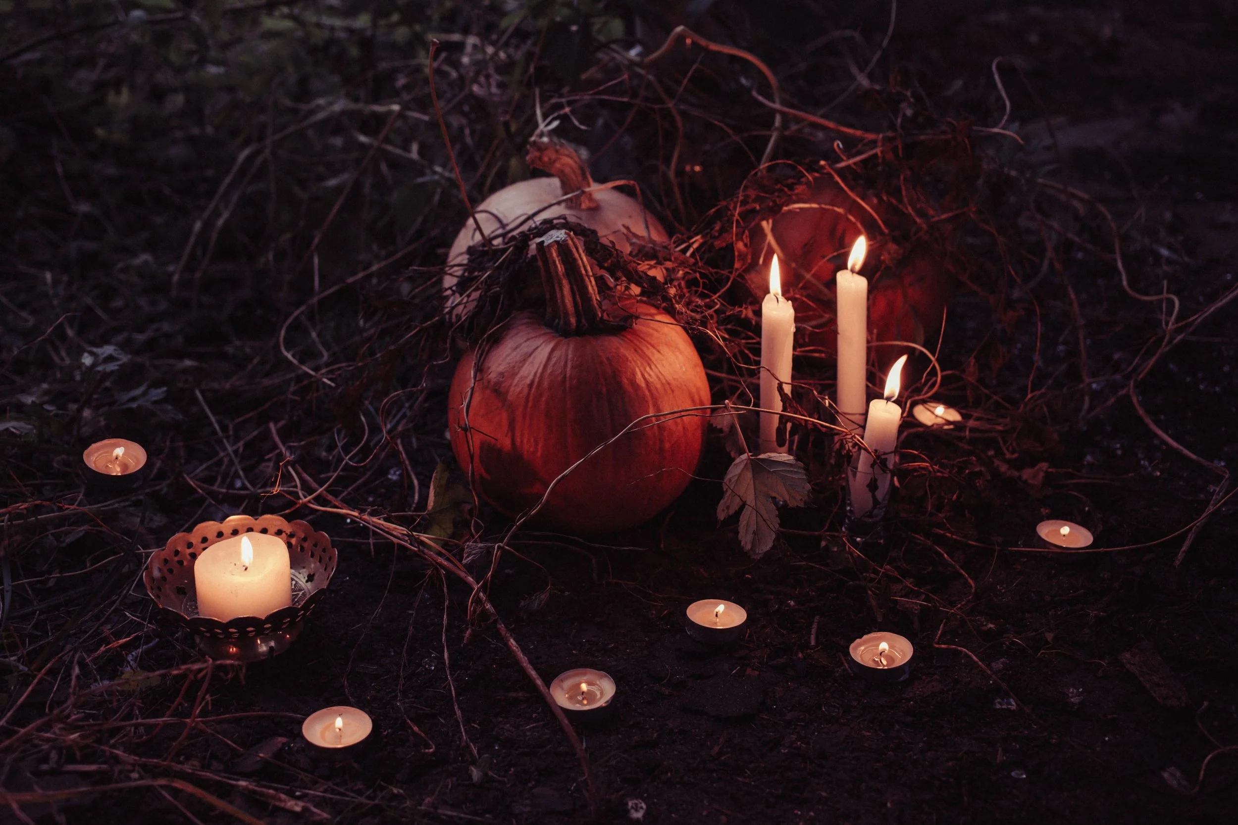 pumpkins sitting in a dark forest surrounded by dead vines and candles