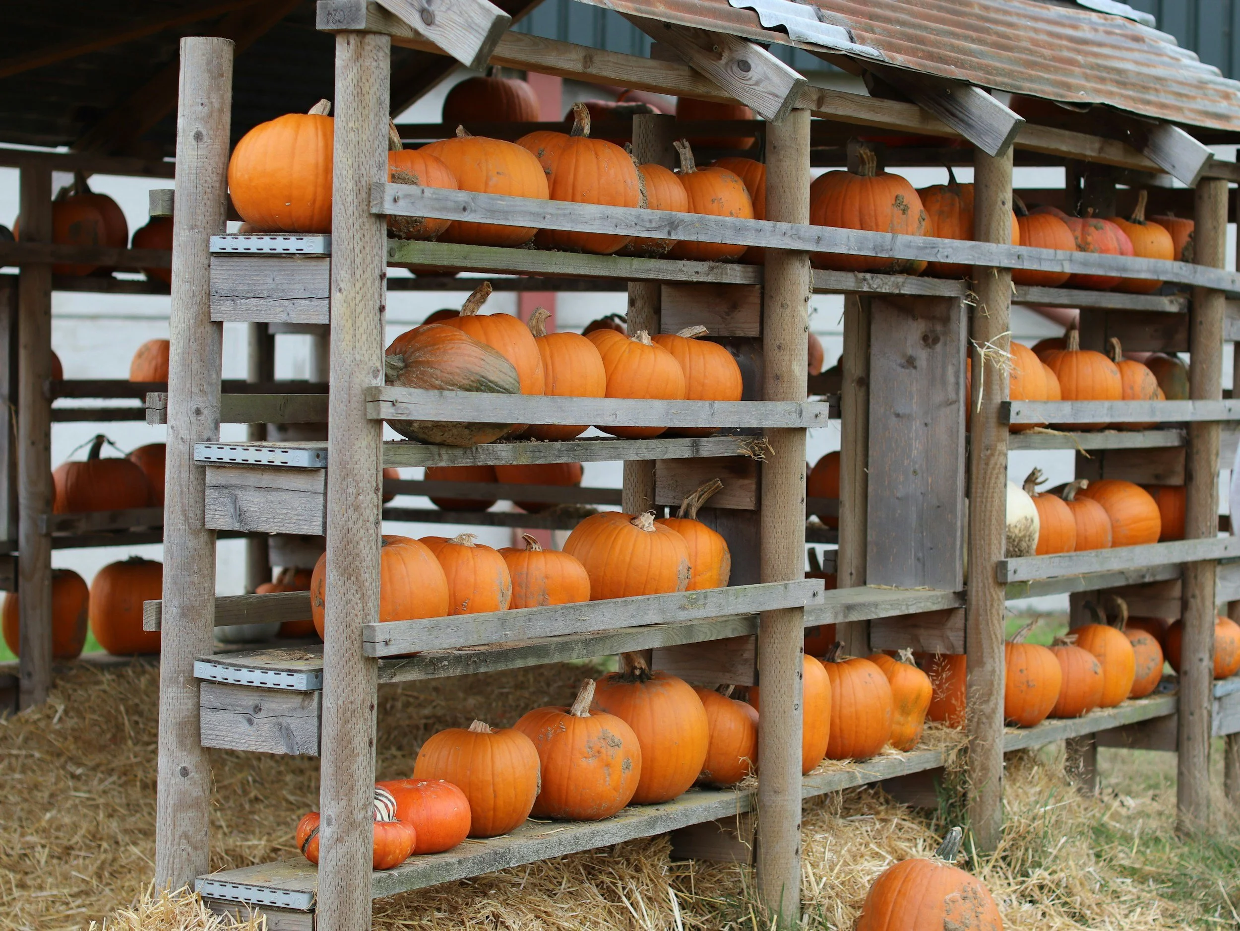 Best things to do in Las Vegas for Halloween with Kids