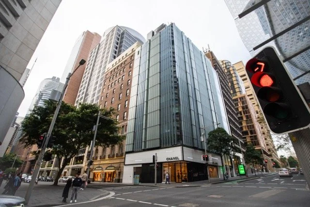 DSC05649 Medium.jpeg