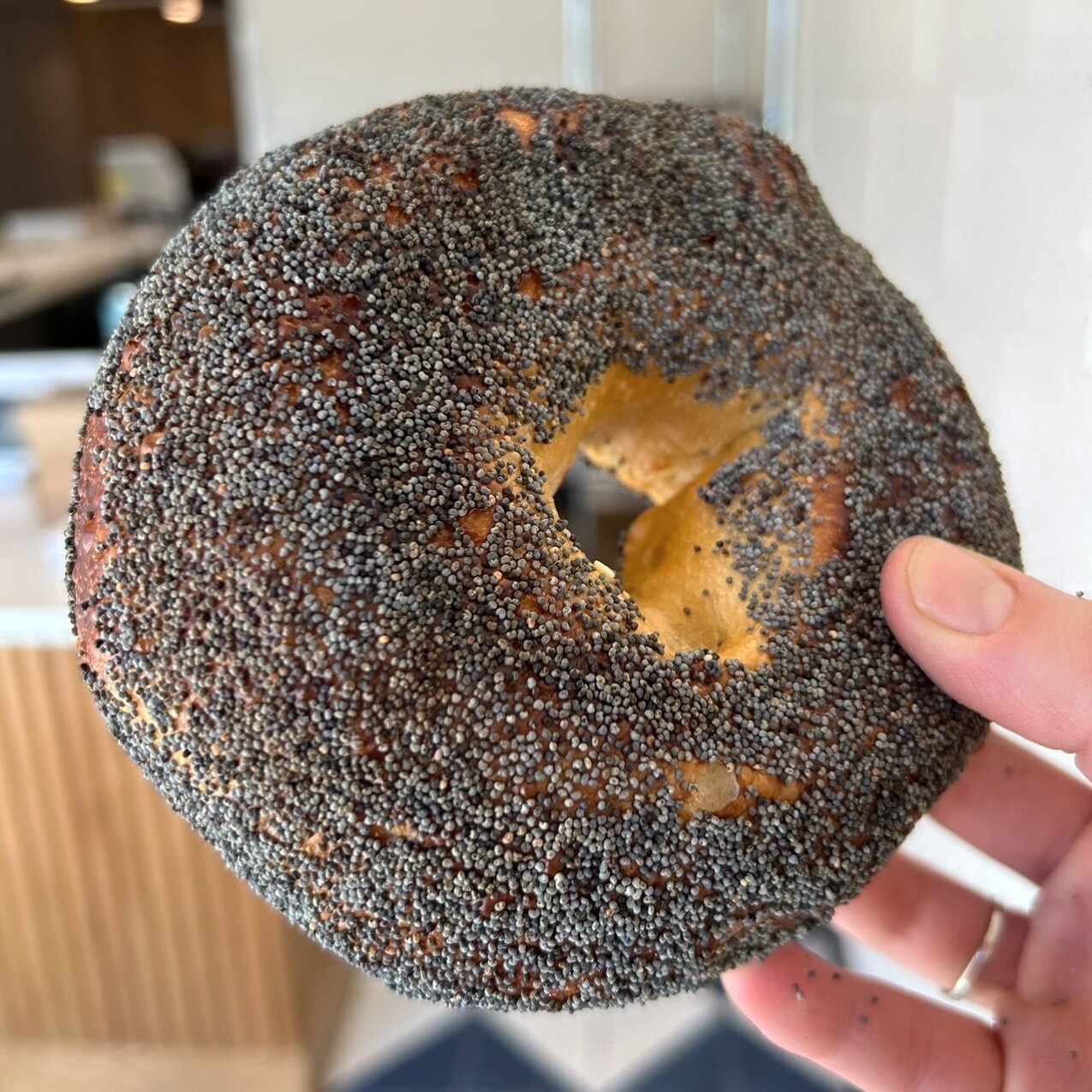 The poppy bagel is the most underrated of bagel flavors. Elaine would love it