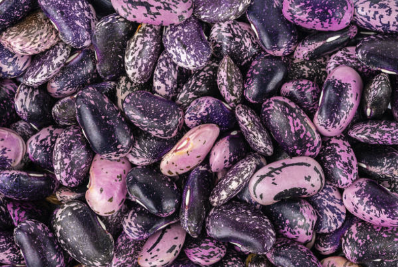 Magic Beans: The Full Story Behind the Beans in Your Jar
