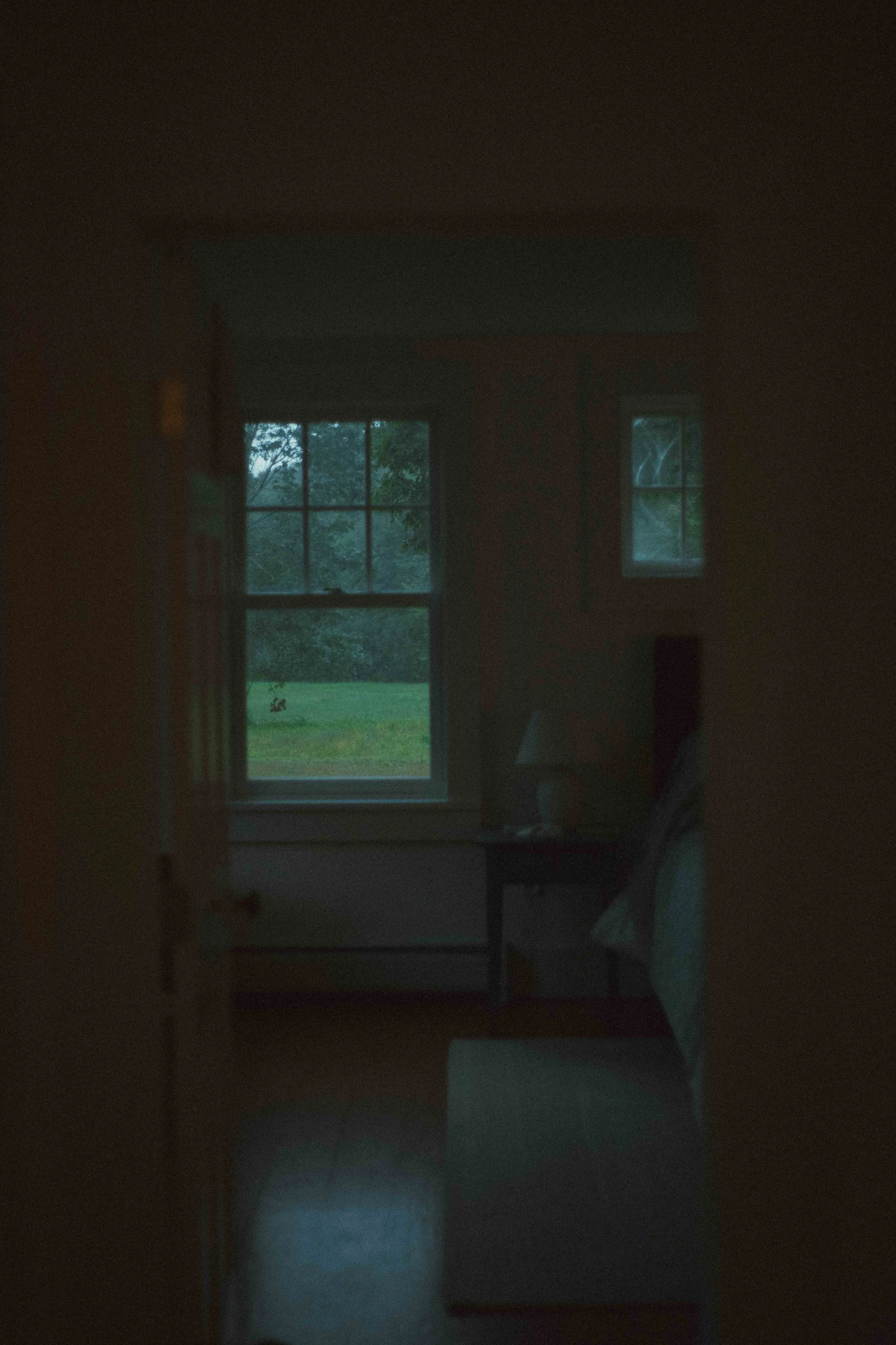A7408019.jpg