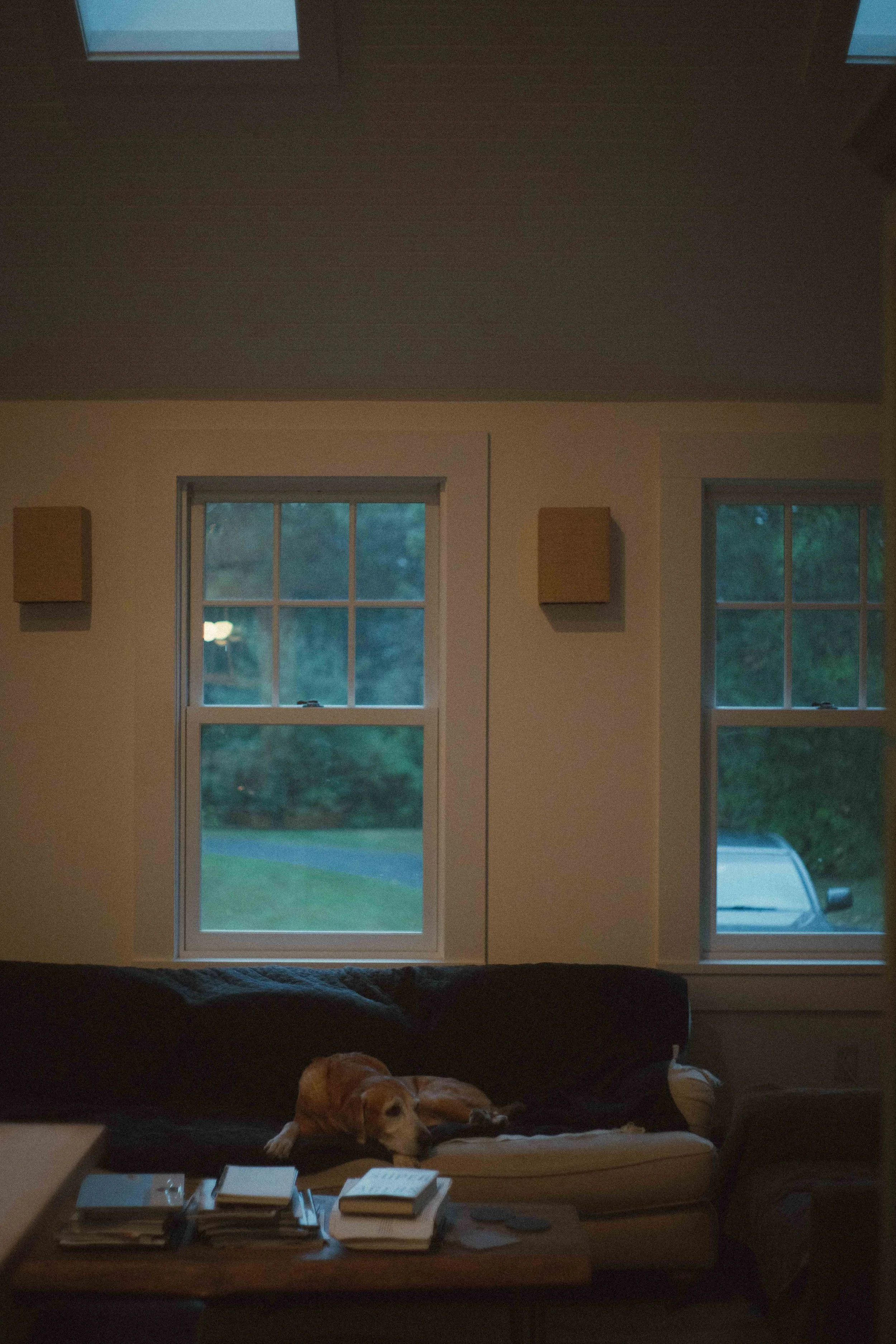 A7408014.jpg