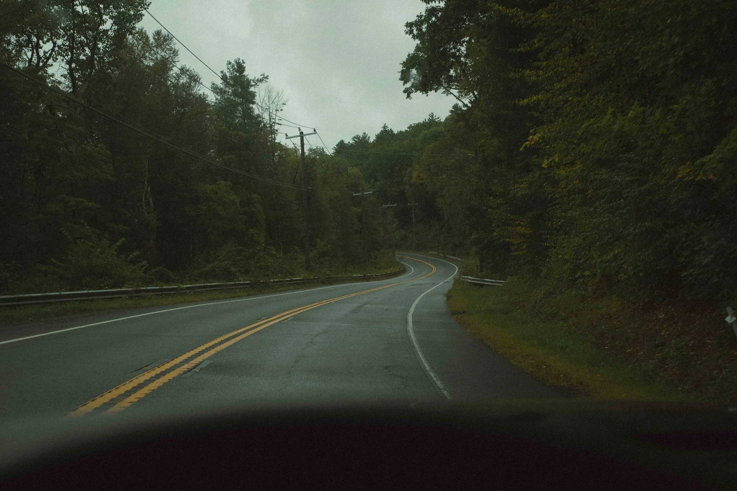 A7408073.jpg