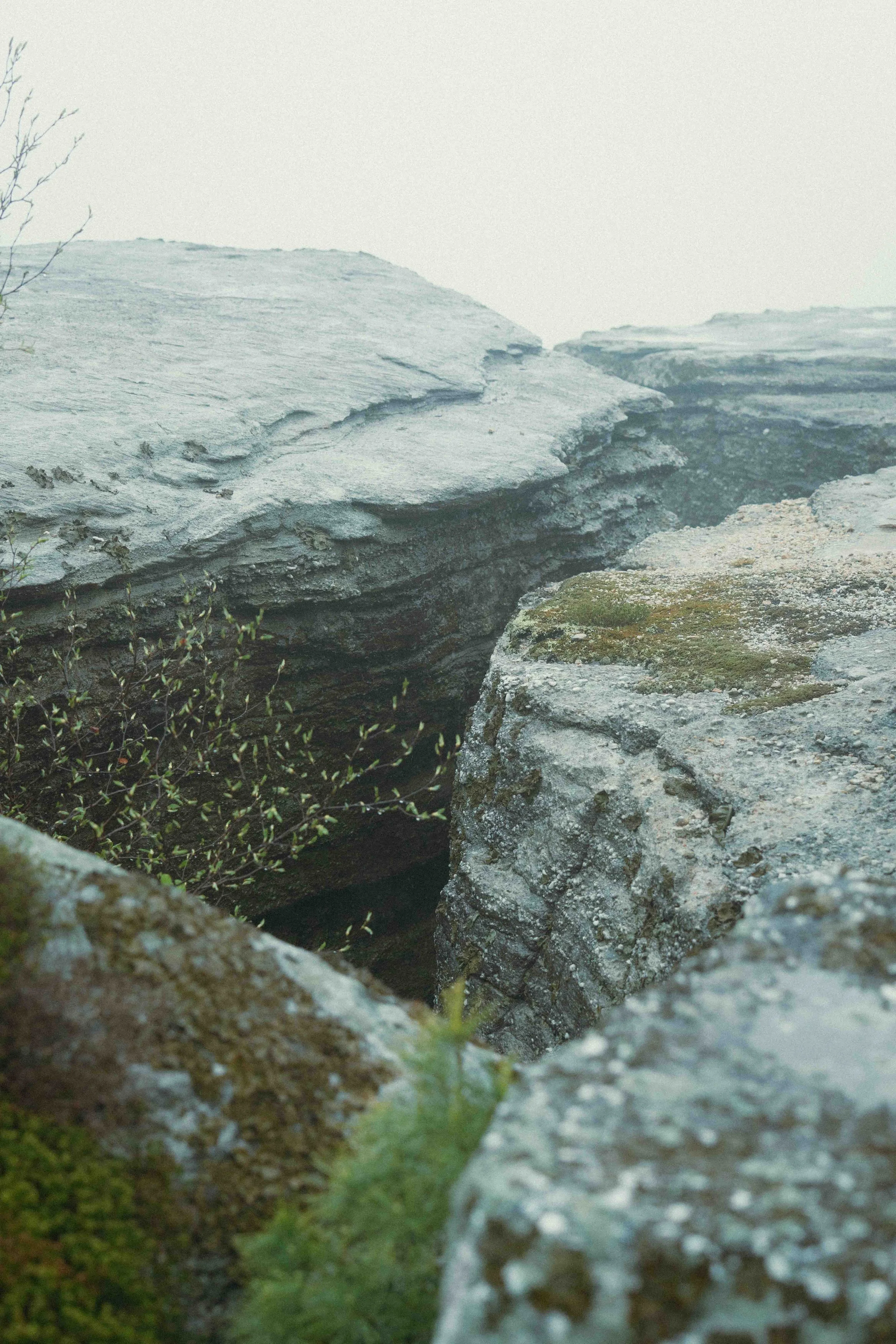 Outsiders Gertrudes Nose (55).jpg