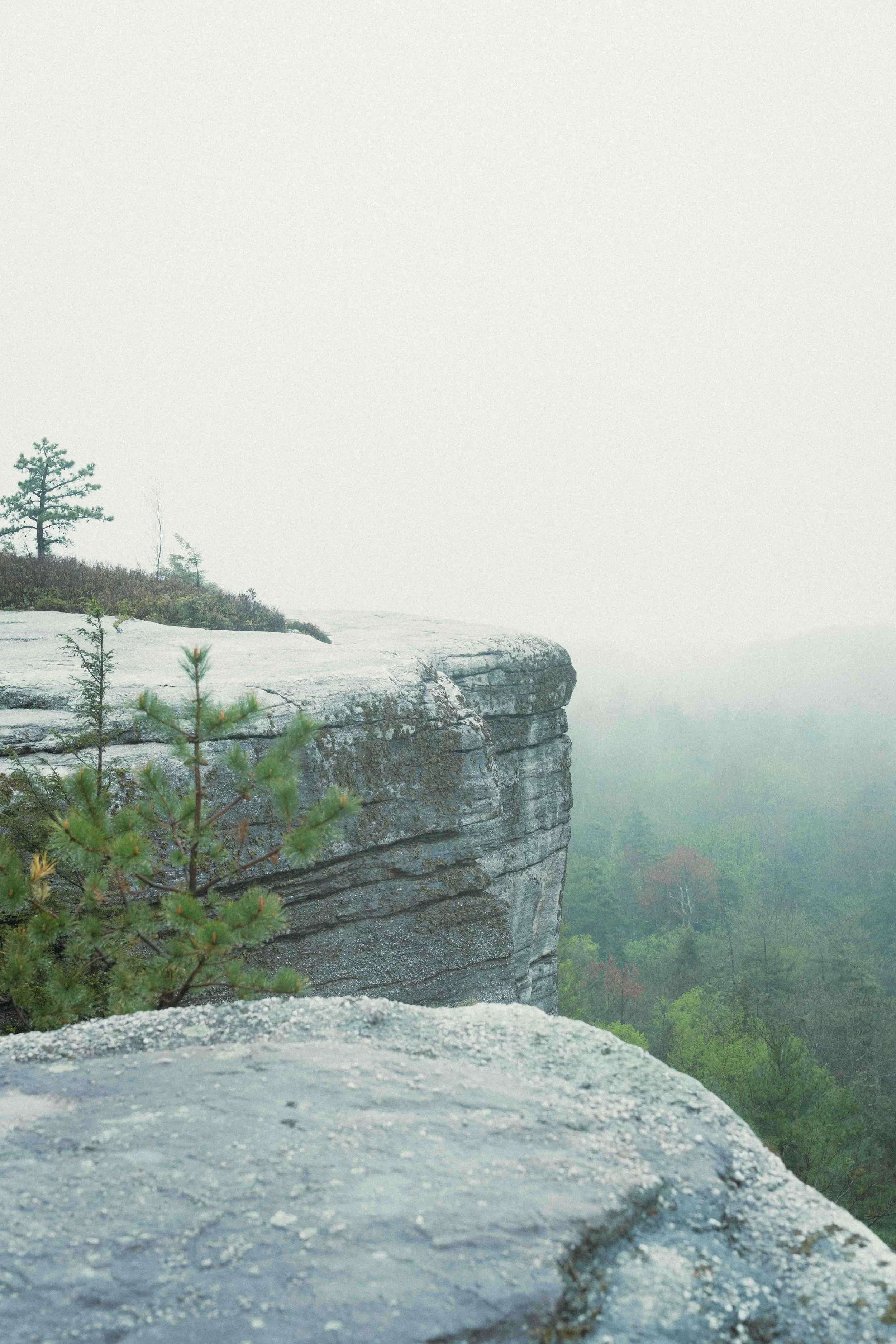 Outsiders Gertrudes Nose (40).jpg